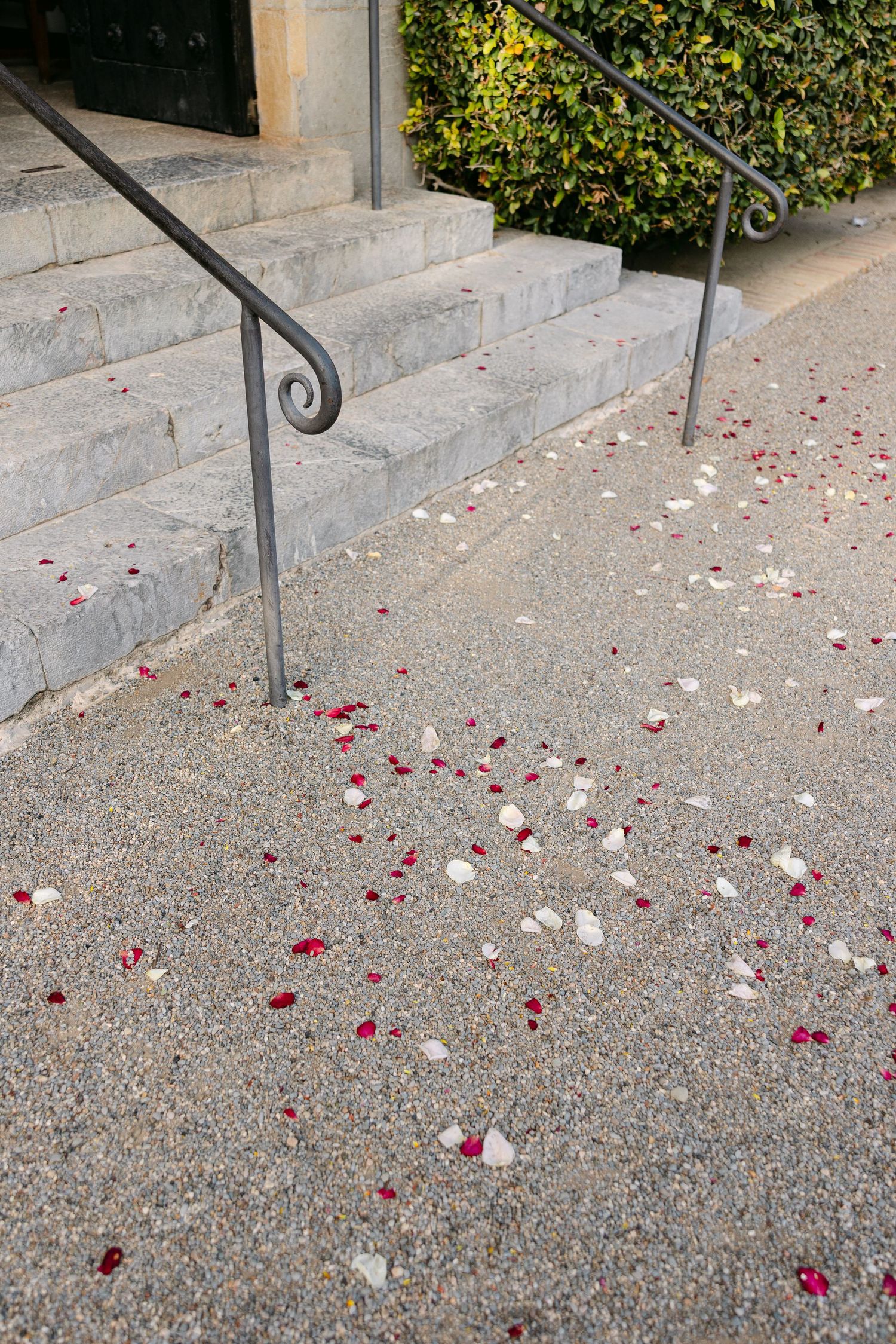 Rose petals scattered across stone steps create romantic wedding pathway.