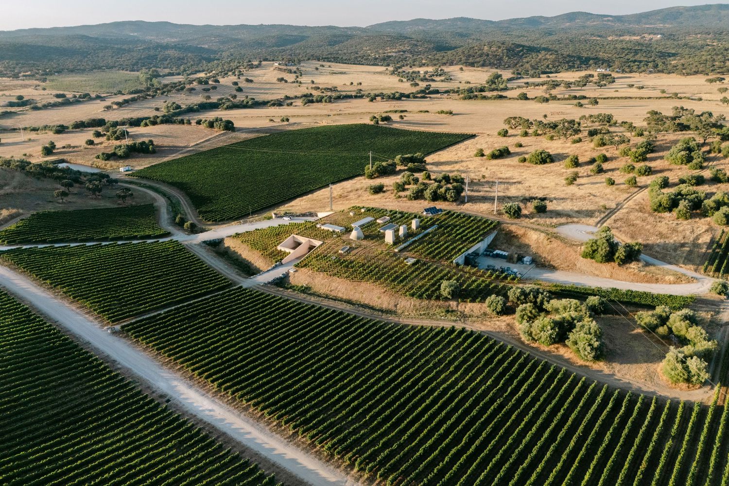 Aerial view of lush vineyard rows and farmland nestled among rolling hills in a scenic wine-growing region.