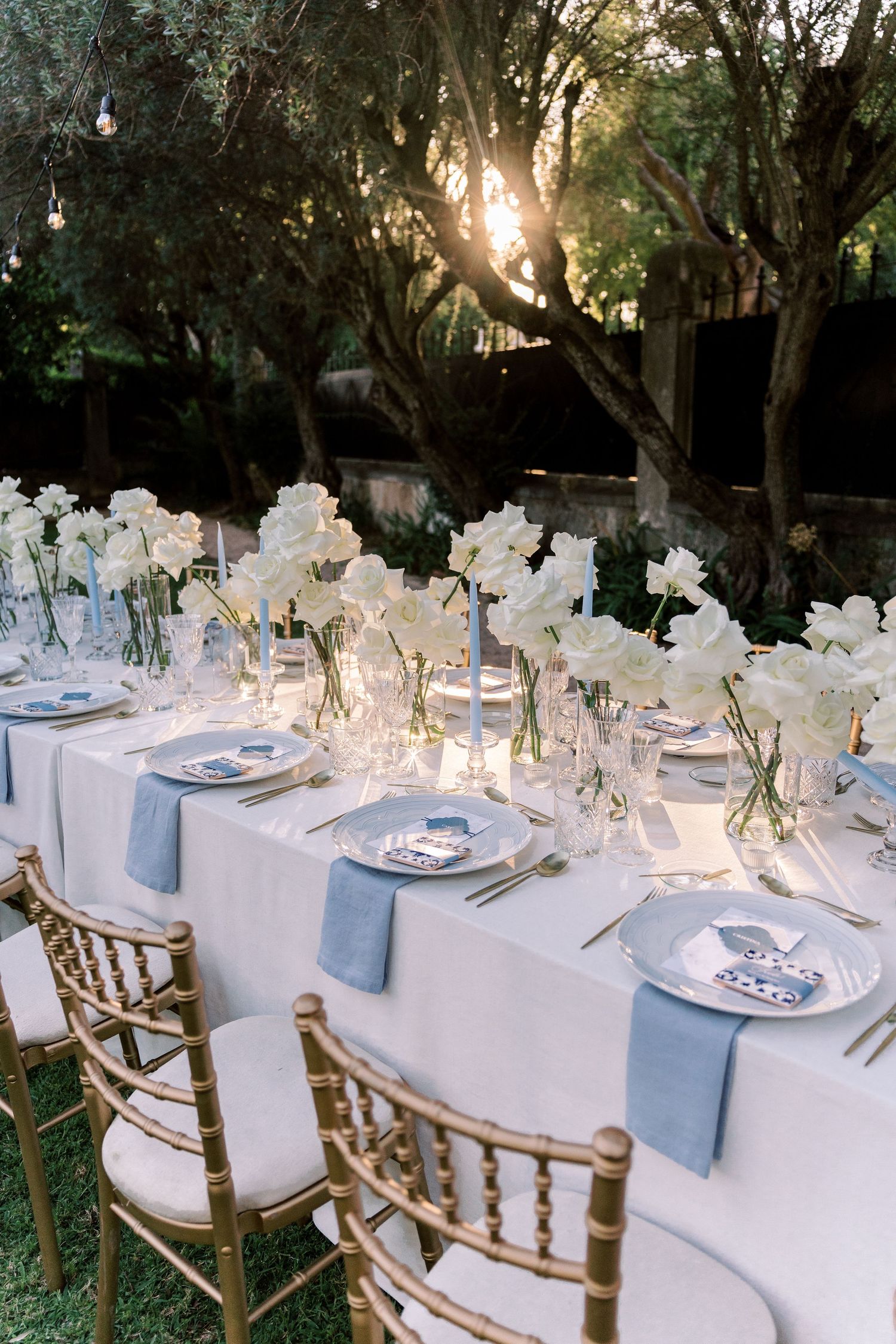 Elegant outdoor wedding table setting with white orchids and light blue napkins under tree canopy.
