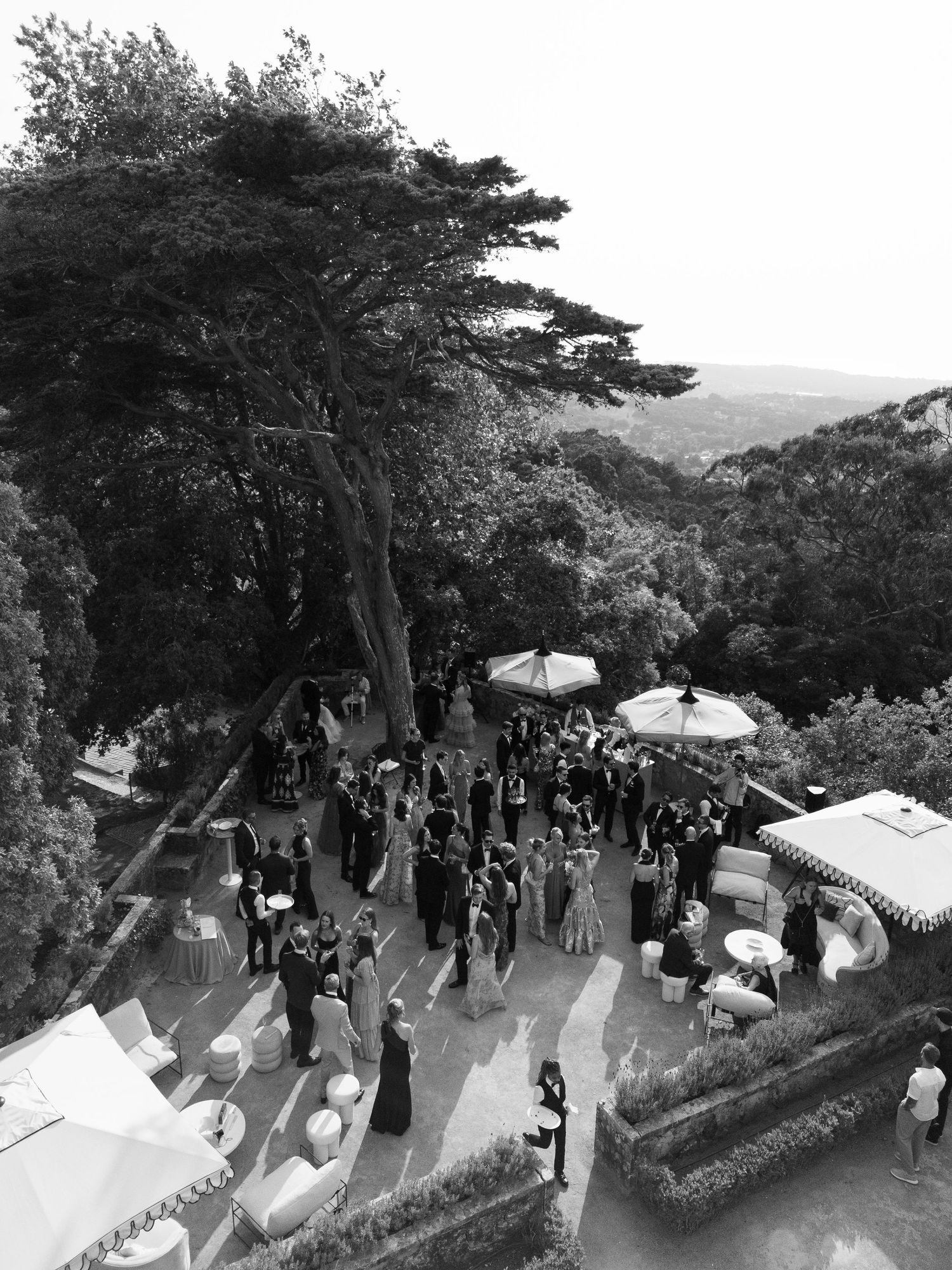 Aerial view of an outdoor wedding reception with guests gathered under trees.
