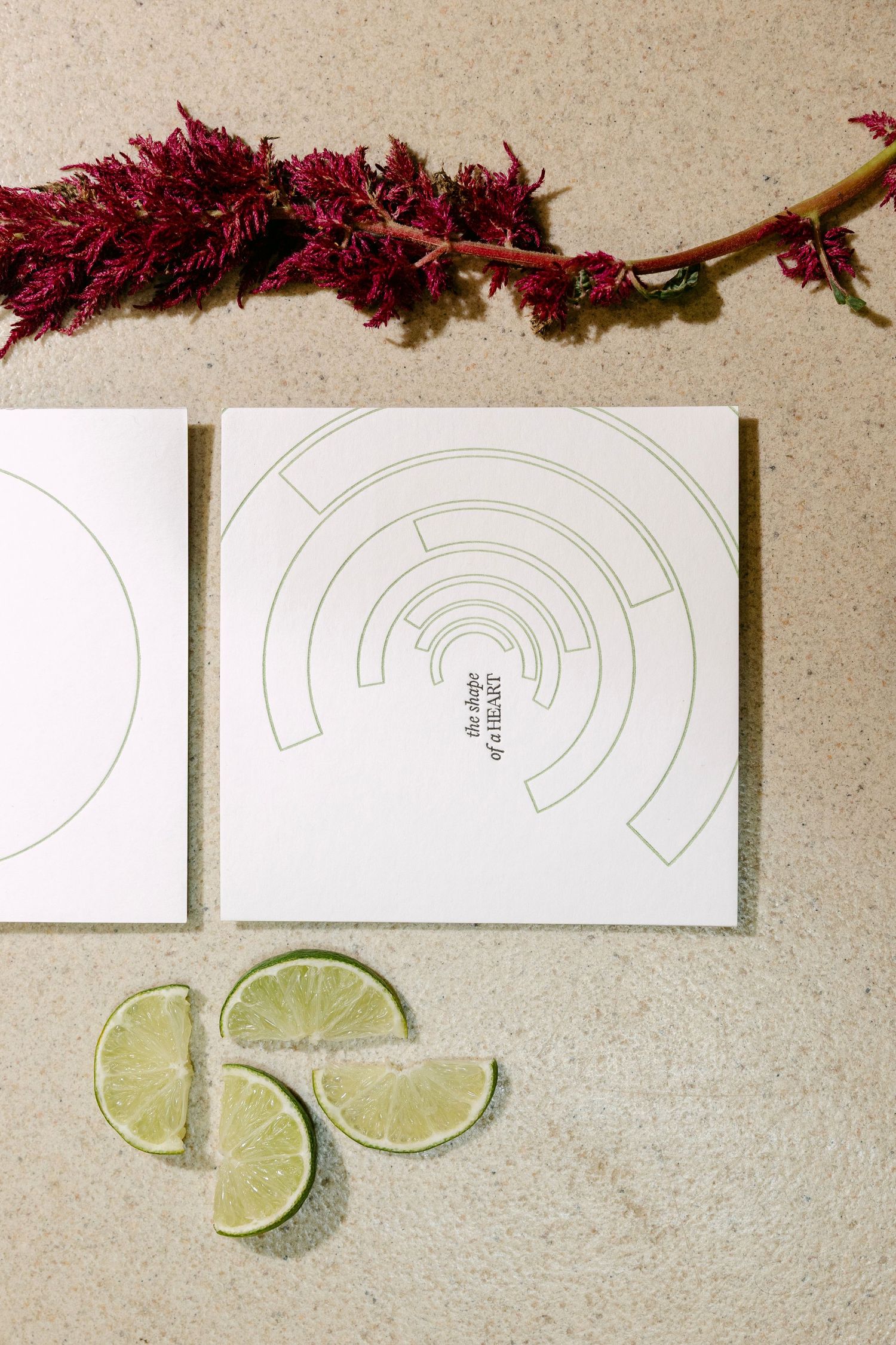 Minimalist white menu cards with geometric patterns displayed alongside lime wedges and red flowers.