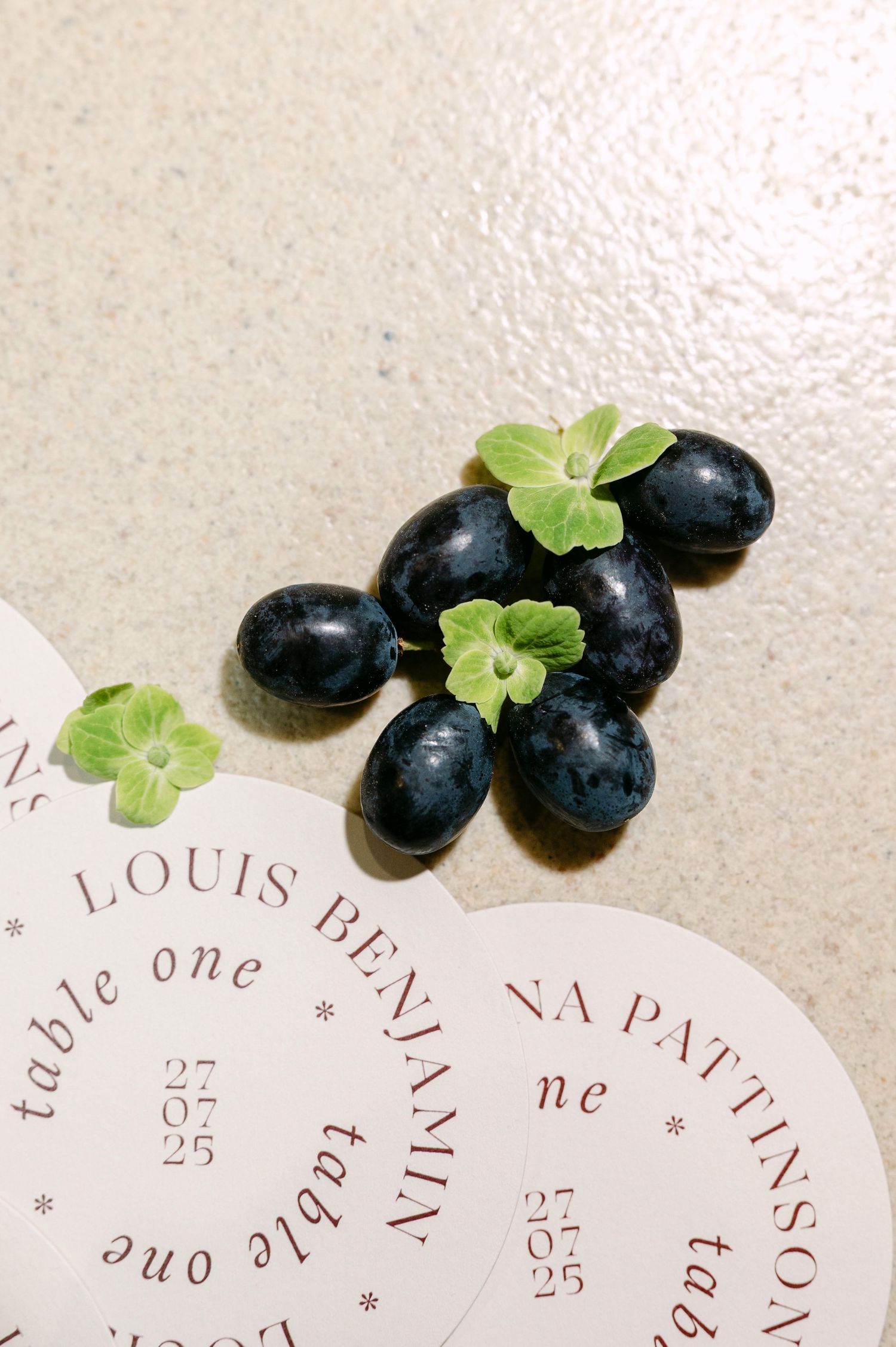 Dark plums with green leaves on wedding place cards reading Louis Benjamin and Na Pattinson, table one.