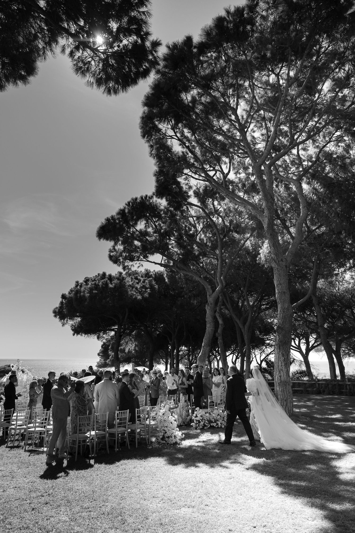 Black and white outdoor wedding ceremony setup with chairs arranged under tall trees.