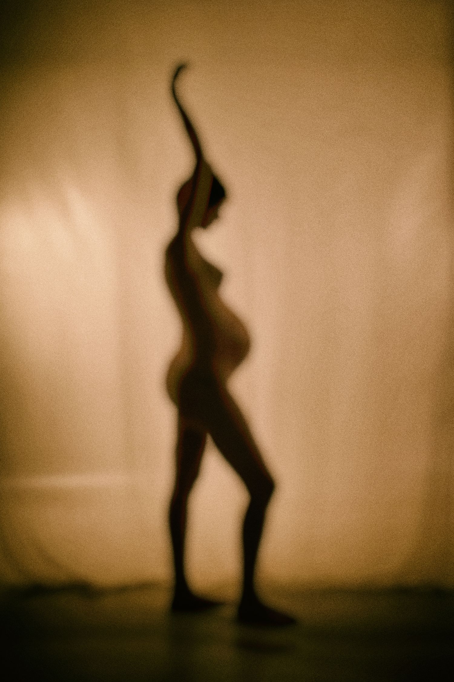 Silhouette of pregnant figure in graceful pose against sepia background.