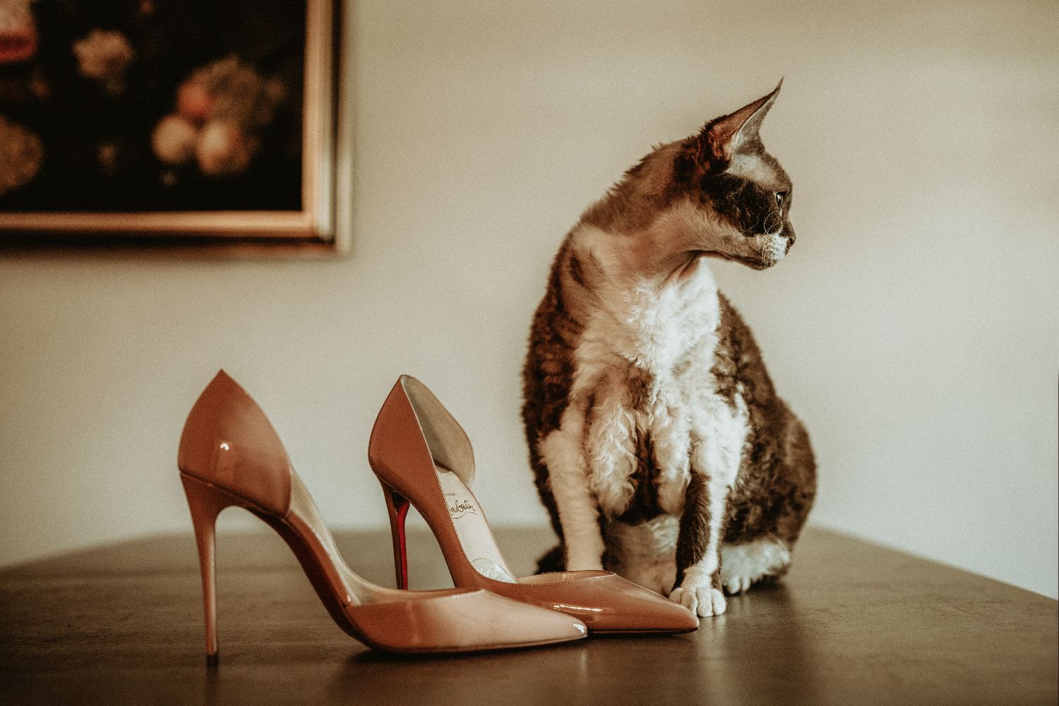 Pair of tan high heels positioned next to a cat sitting on a wooden floor.