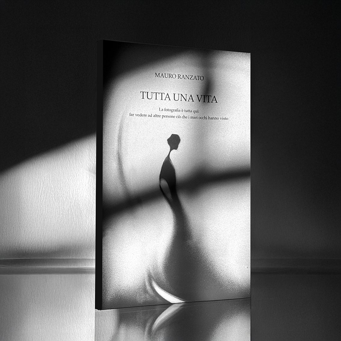 Artistic shadow play photography creating mysterious silhouettes against white backdrop.