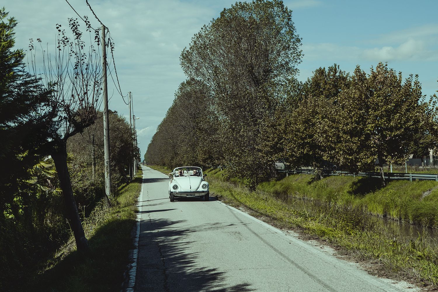 Rural country road lined with trees and utility poles on a sunny day.