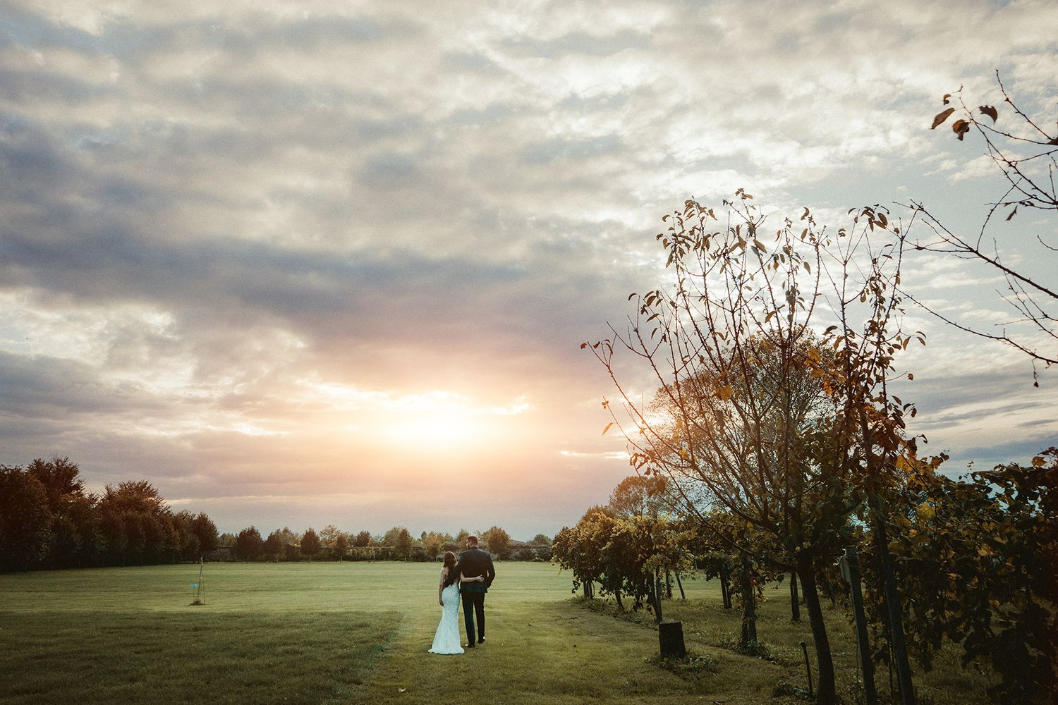 Panoramic view of a misty field at sunset with trees silhouetted against the cloudy sky.
