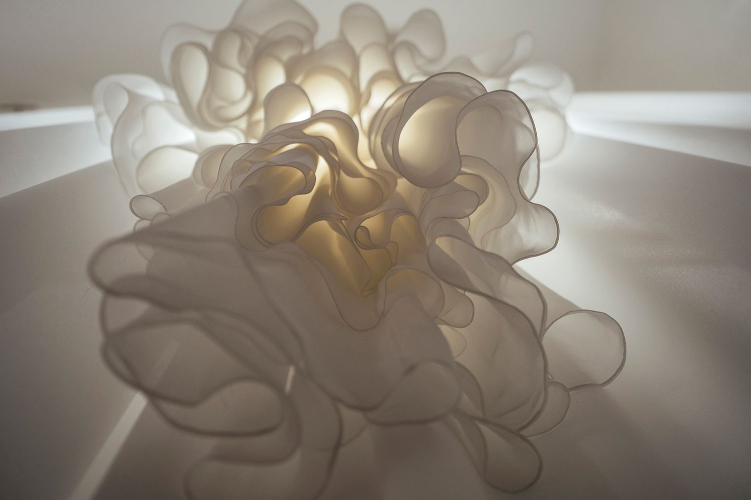 Modern white ceiling light fixture with flowing organic shapes creating ambient illumination.