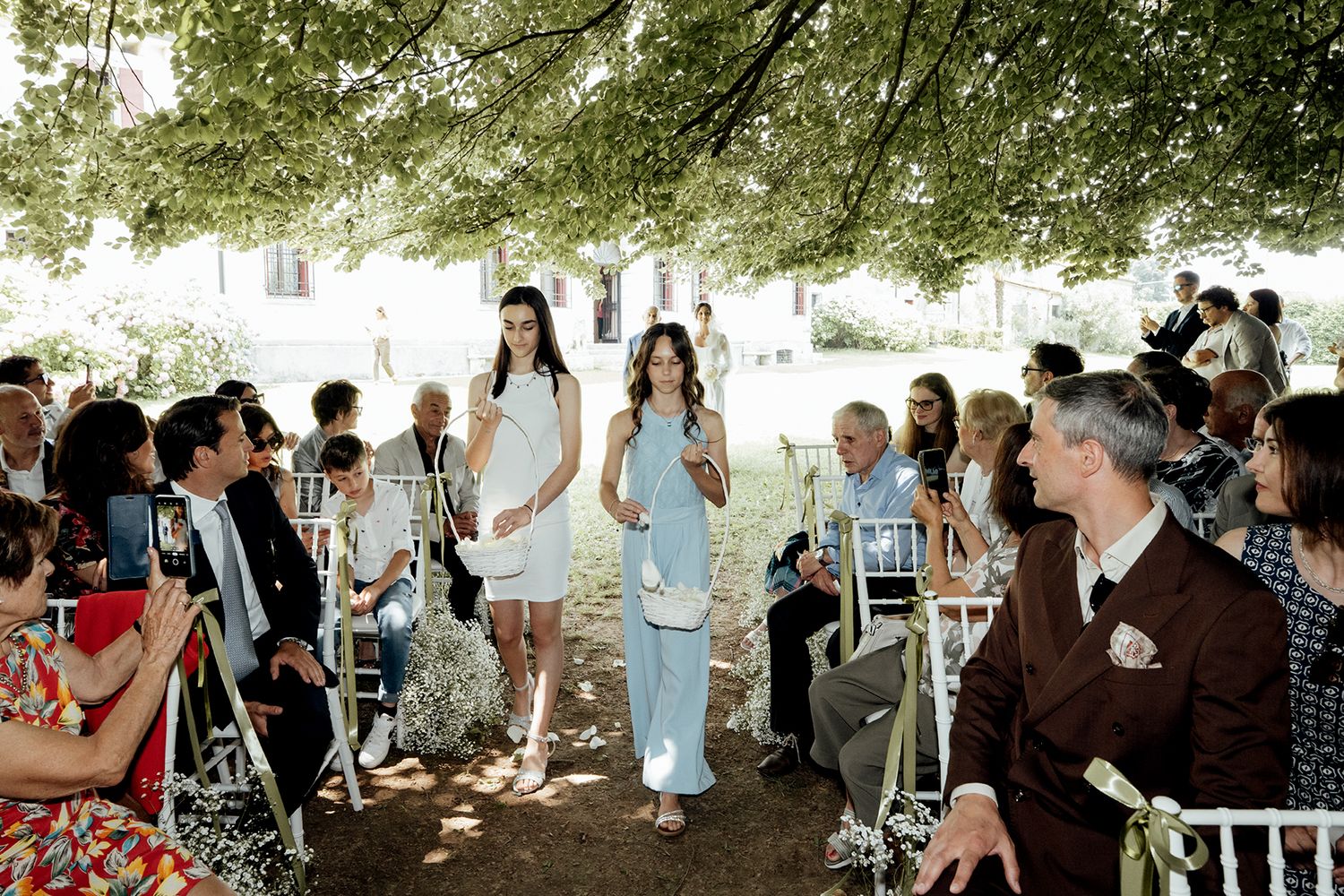 Wedding celebration outdoors with guests mingling under tree canopy.