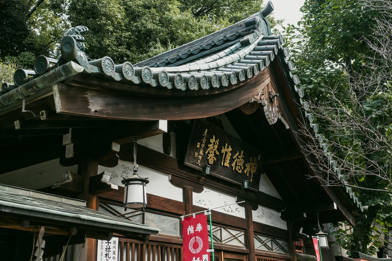 Traditional Japanese temple buildings with curved roofs and ornate architectural details among trees.
