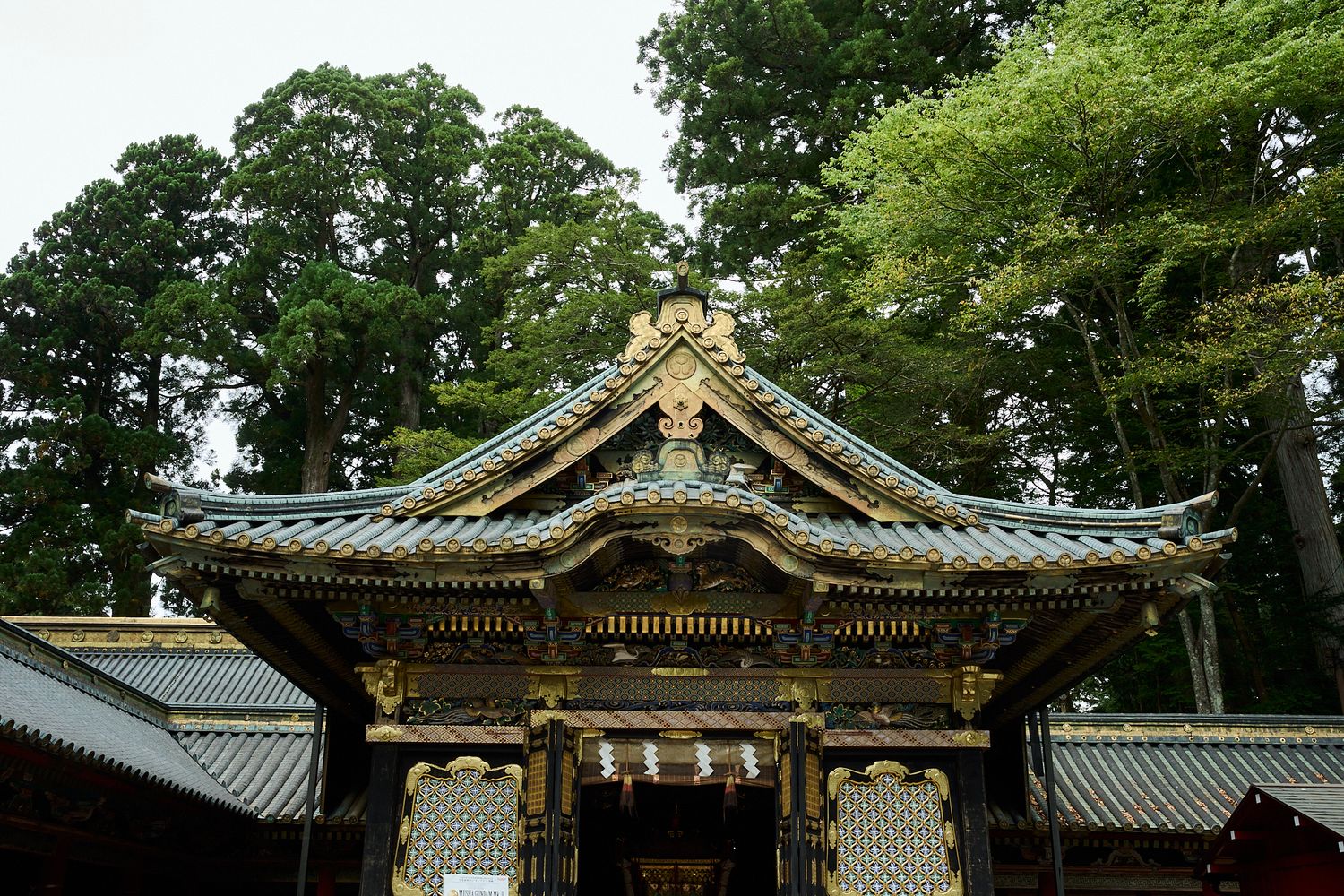 Ornate Japanese shrine gate with gilded carvings and a curved tiled roof, framed by tall evergreen cedar trees in a peaceful forest.