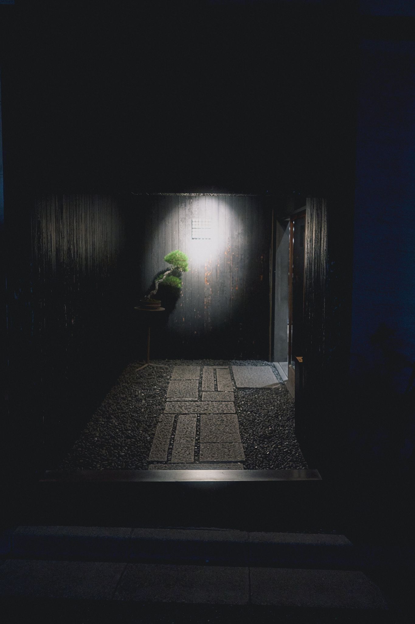 Spotlit bonsai tree on a small stand at a dark Japanese entrance with a stepping-stone path and gravel beside a charred wooden wall.