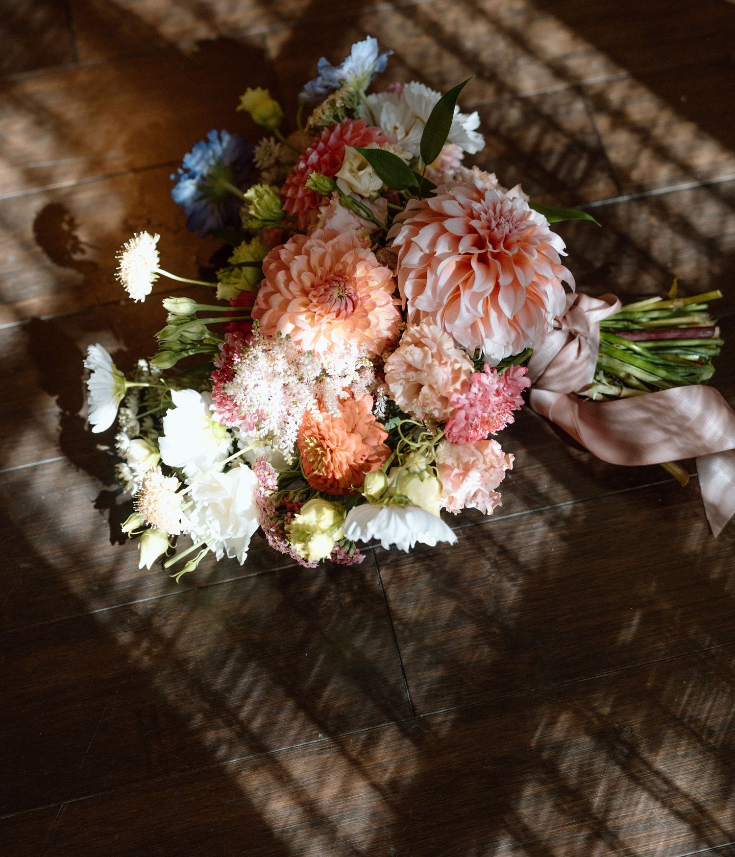 Pink and white dahlias and flowers arranged with dramatic shadow patterns.