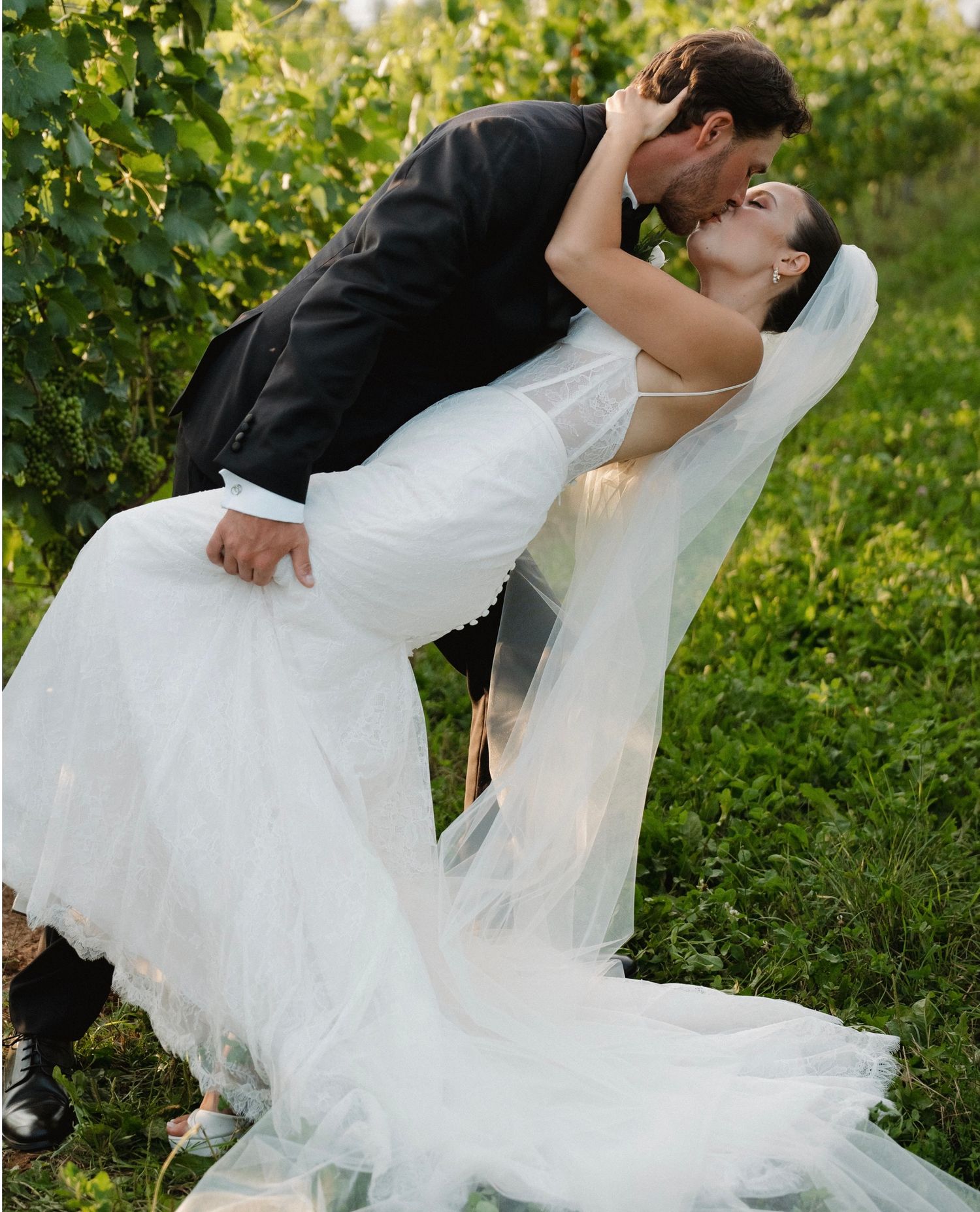 Bride and groom share a romantic dip kiss among lush green vineyard vines on their wedding day.