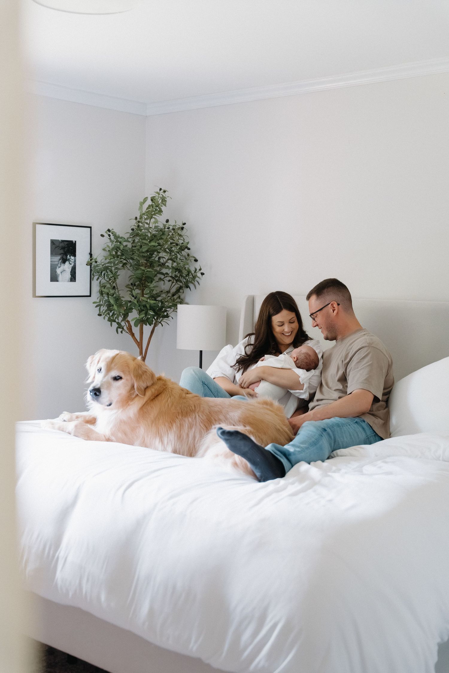 A couple sits on a white bed holding their newborn baby while a golden retriever rests beside them in a bright bedroom.