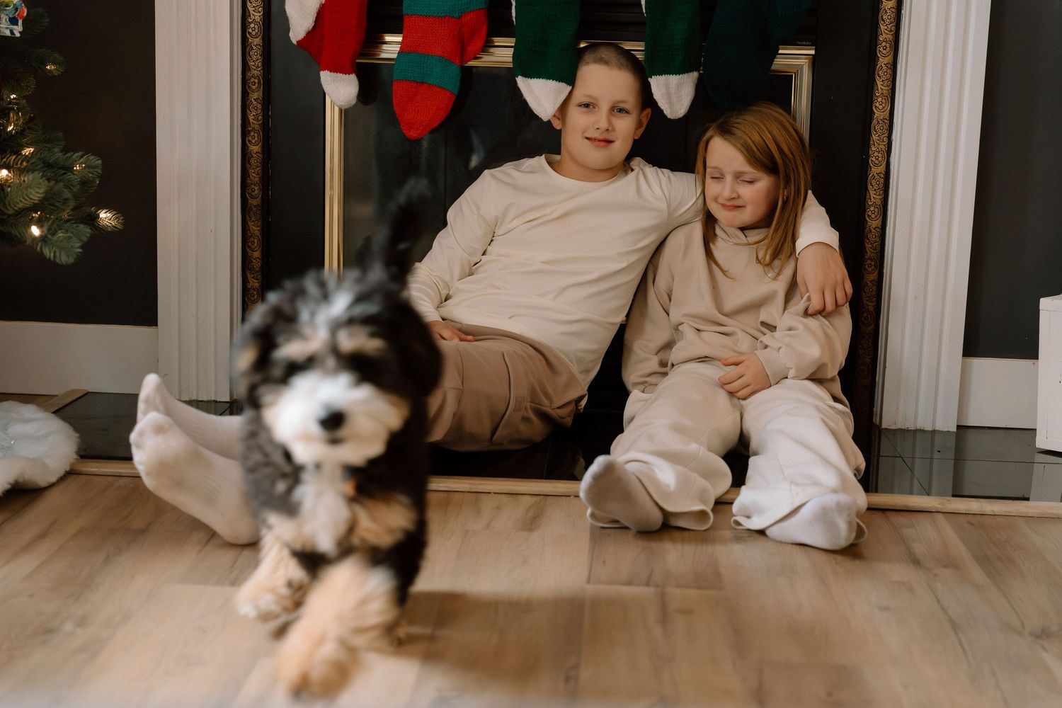 Playful dog running across floor during holiday season with Christmas decorations visible.