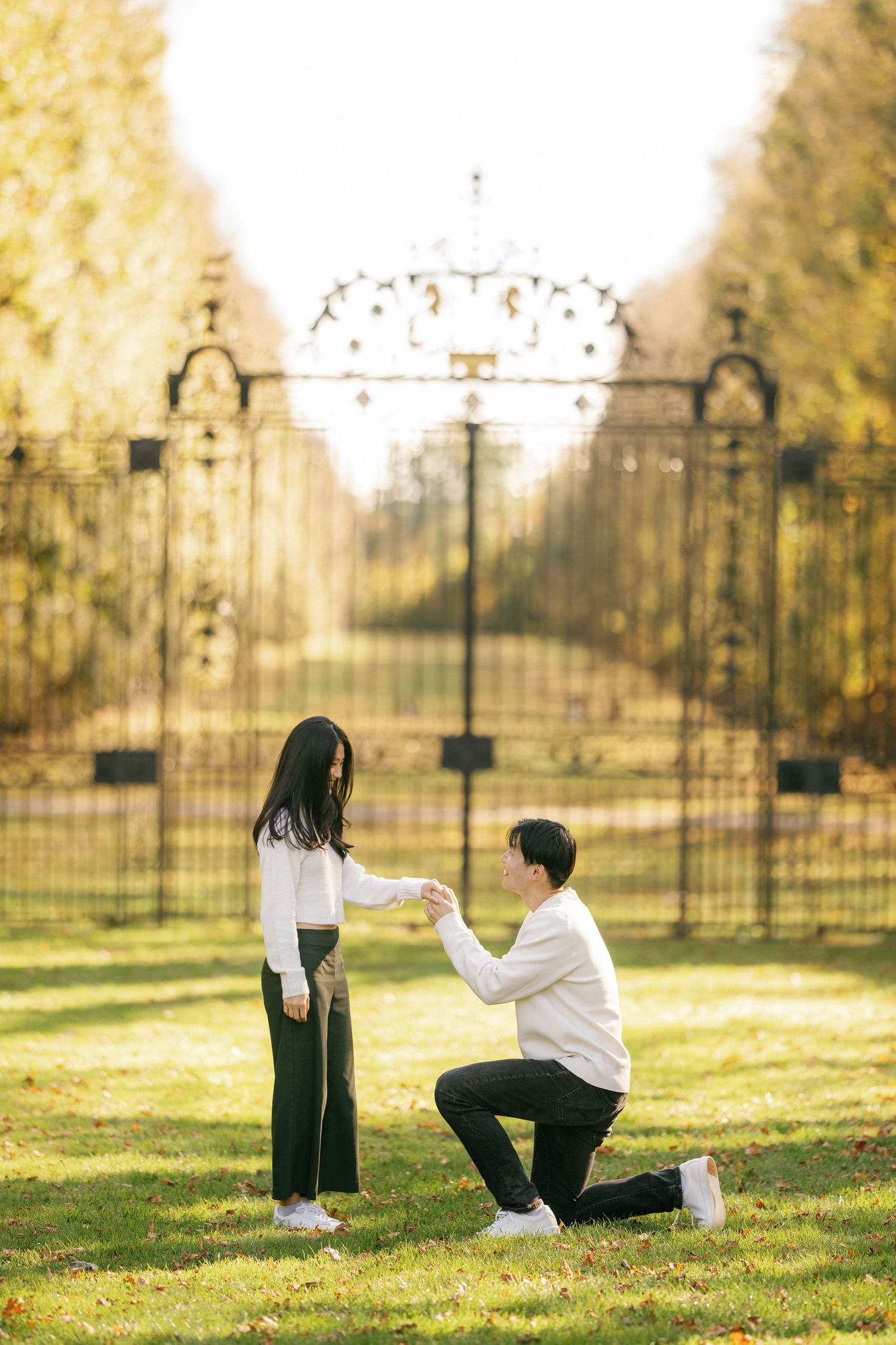 A romantic proposal scene unfolds on a grassy lawn with ornate lampposts and autumn trees in the background.