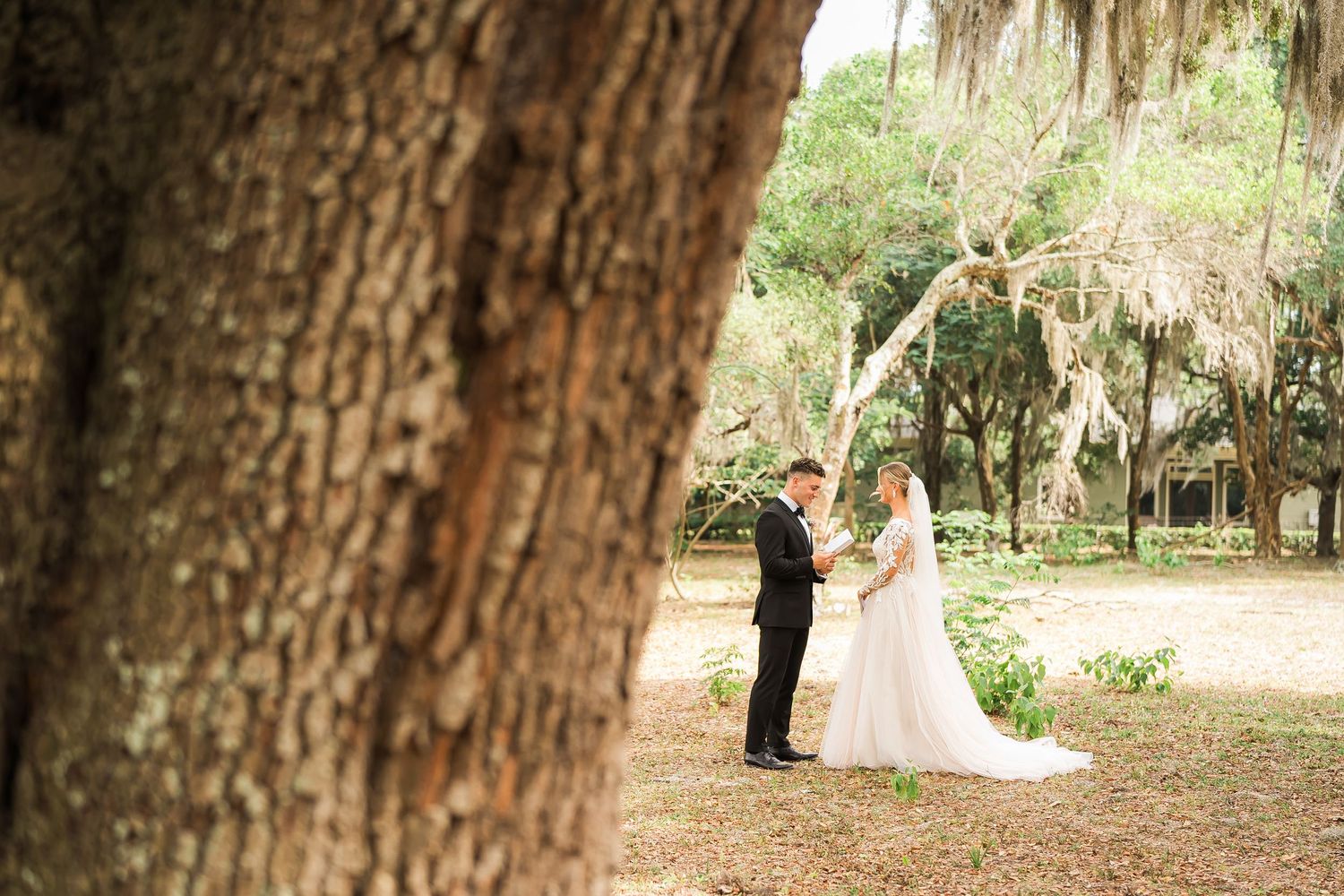 A wedding couple stands beneath Spanish moss draped oak trees.