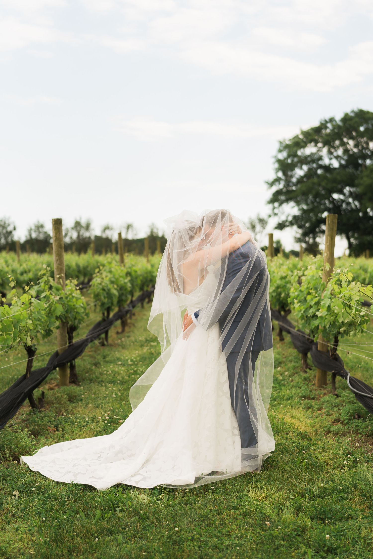 Bride in flowing veil and train standing alone among vineyard rows.