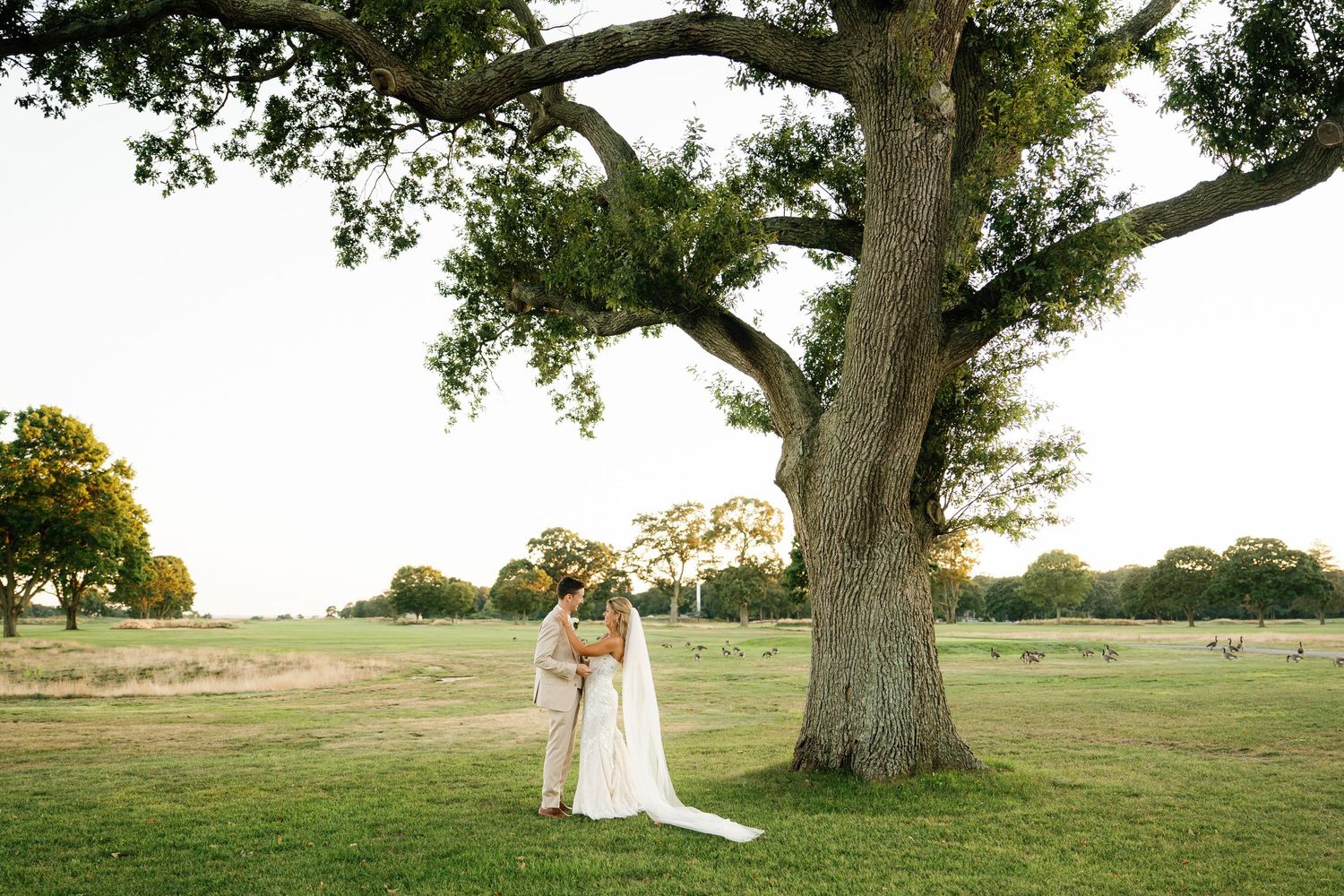 A couple shares a romantic moment under a large oak tree in an open field during golden hour.