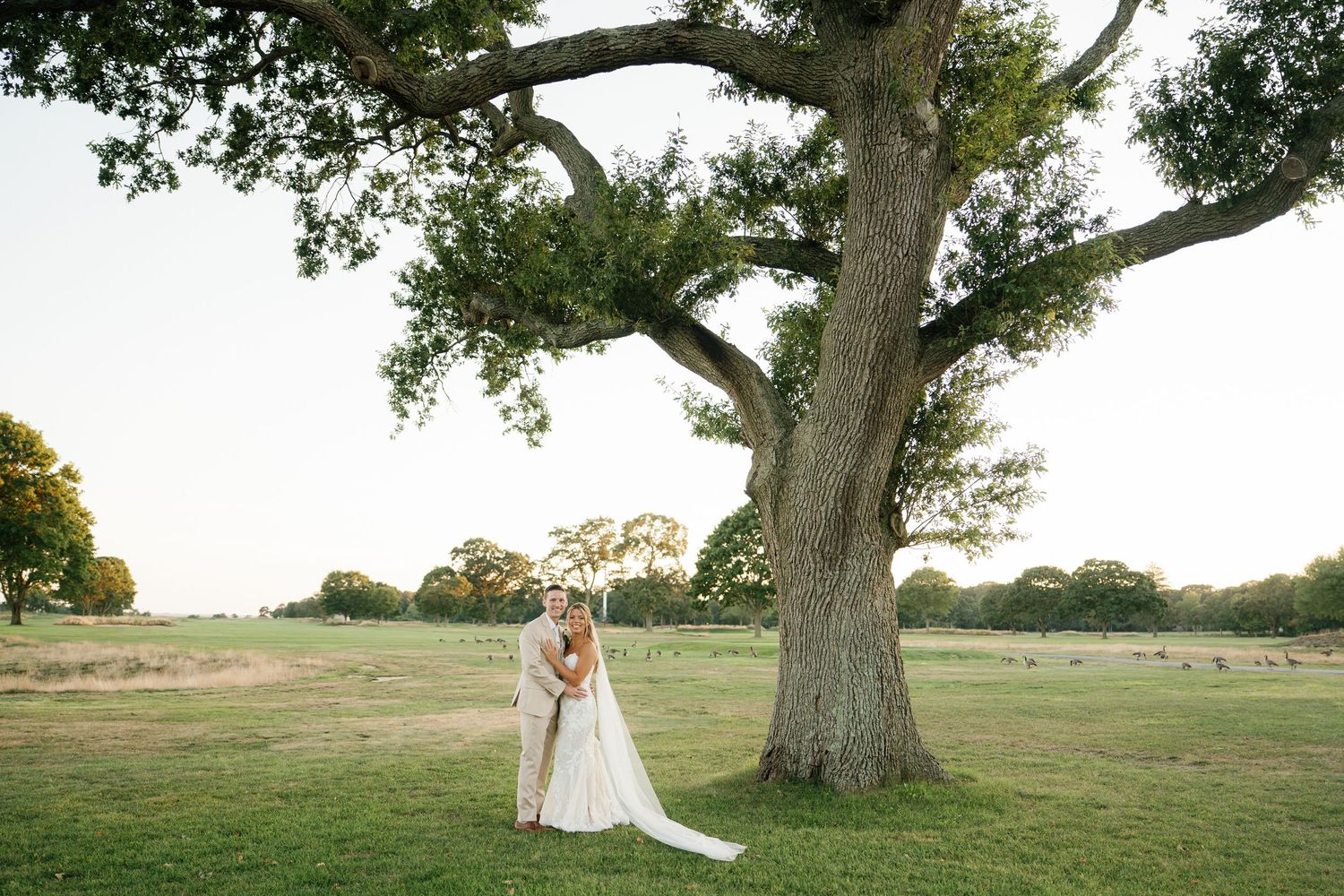 A rustic oak tree stands majestically in a green field during golden hour as a gentle breeze blows.