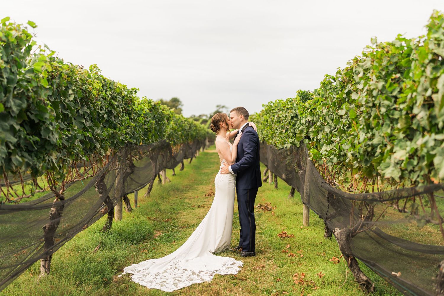 Wedding portrait of couple in long rows of vineyard with flowing white dress.