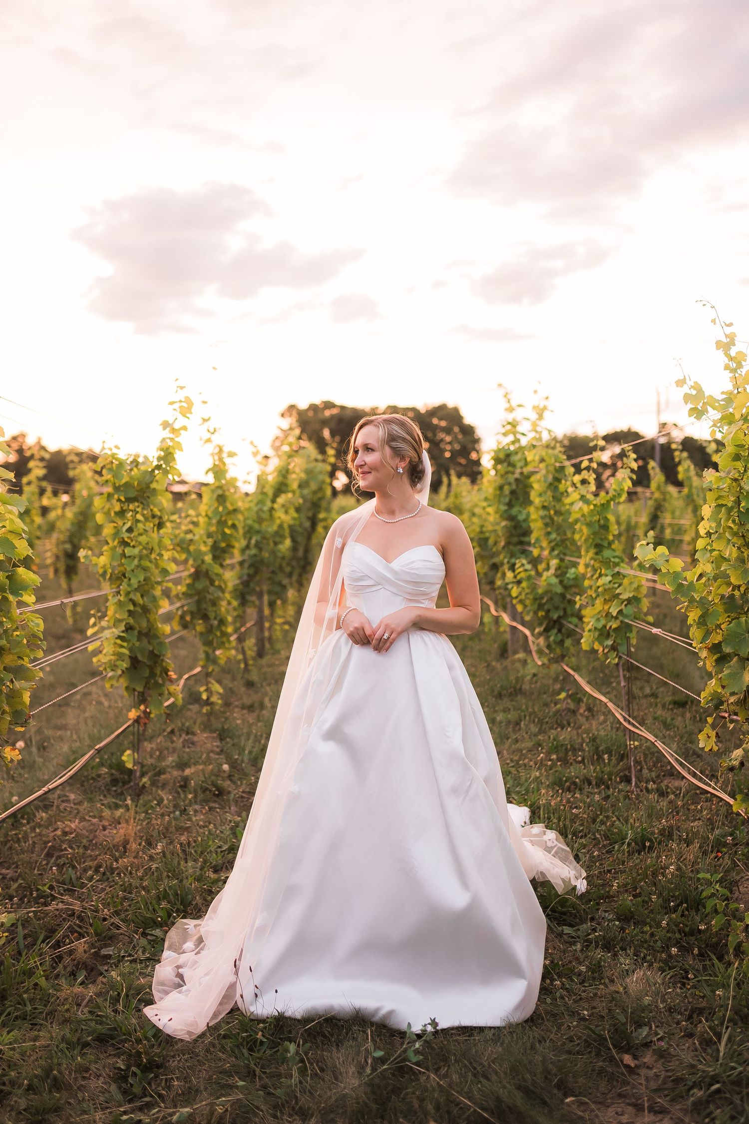 A white wedding dress billows in a scenic vineyard at sunset with golden light filtering through the vines.