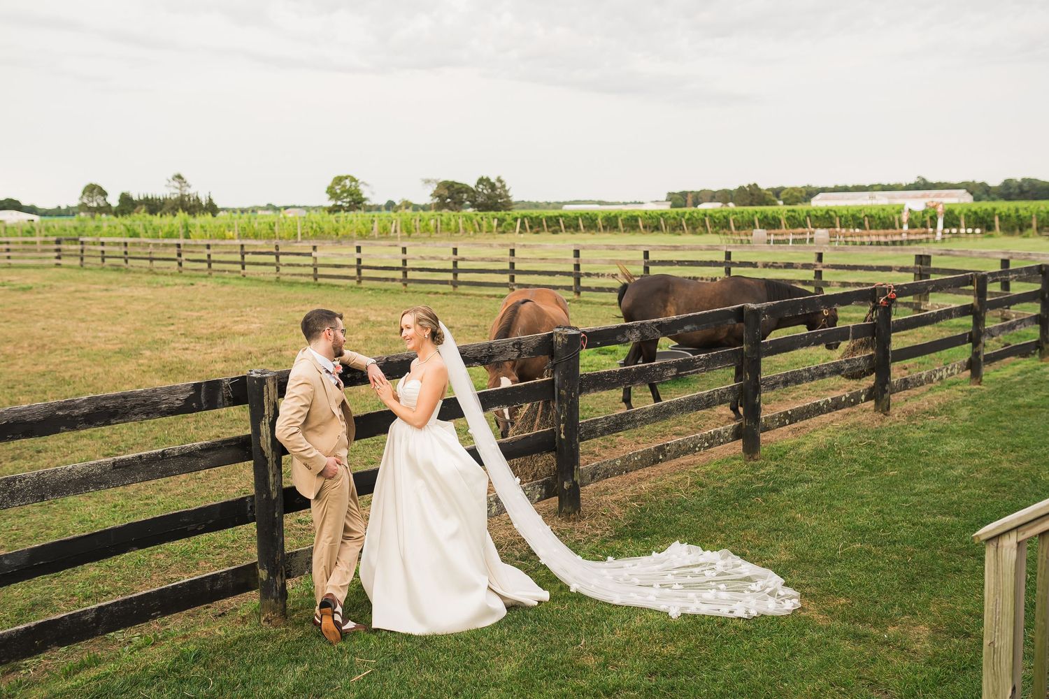 A wedding couple shares a moment by a rustic fence with horses in the background.