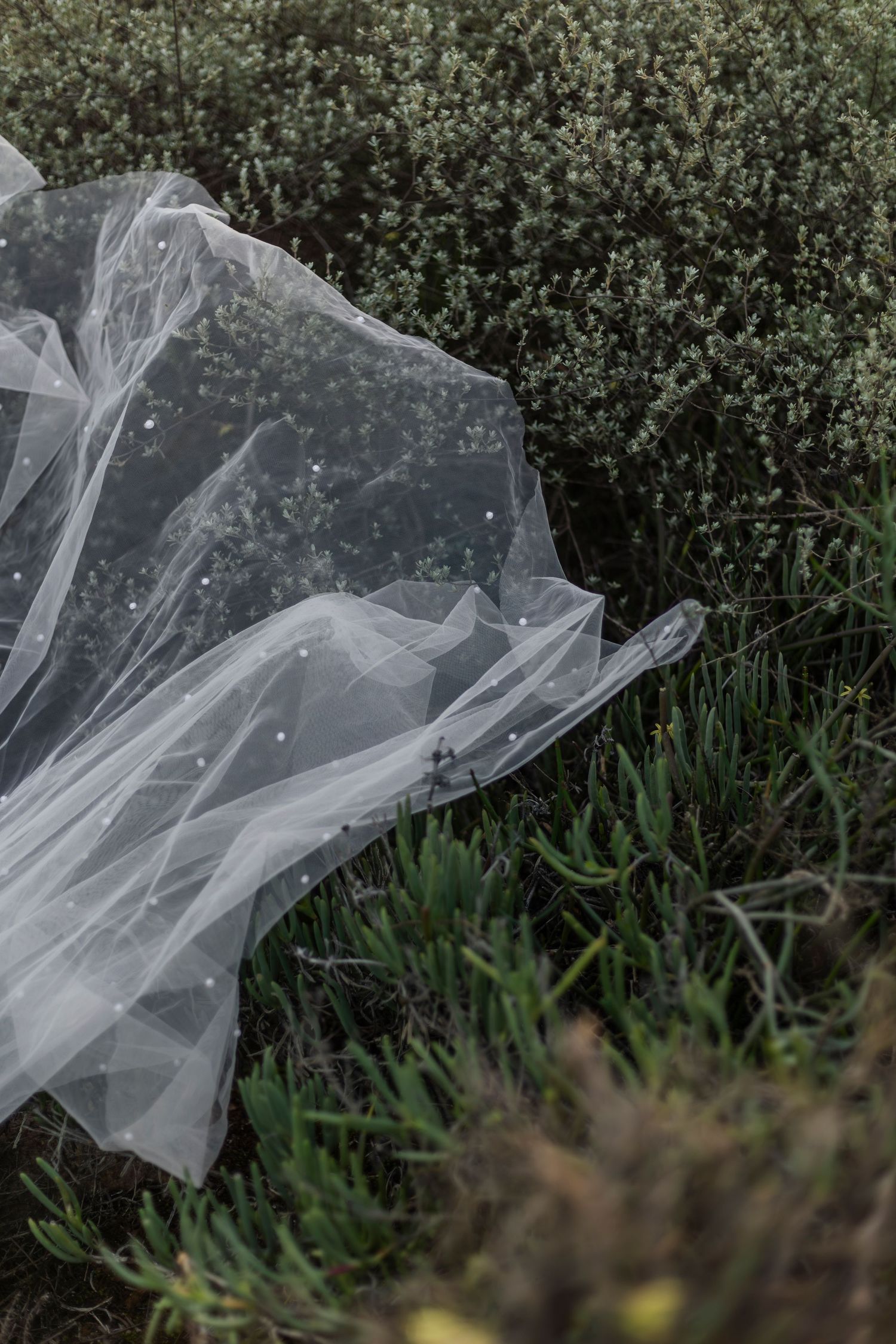 Sheer white tulle fabric with pearl dots draped over green shrubs and grass in a moody outdoor setting.