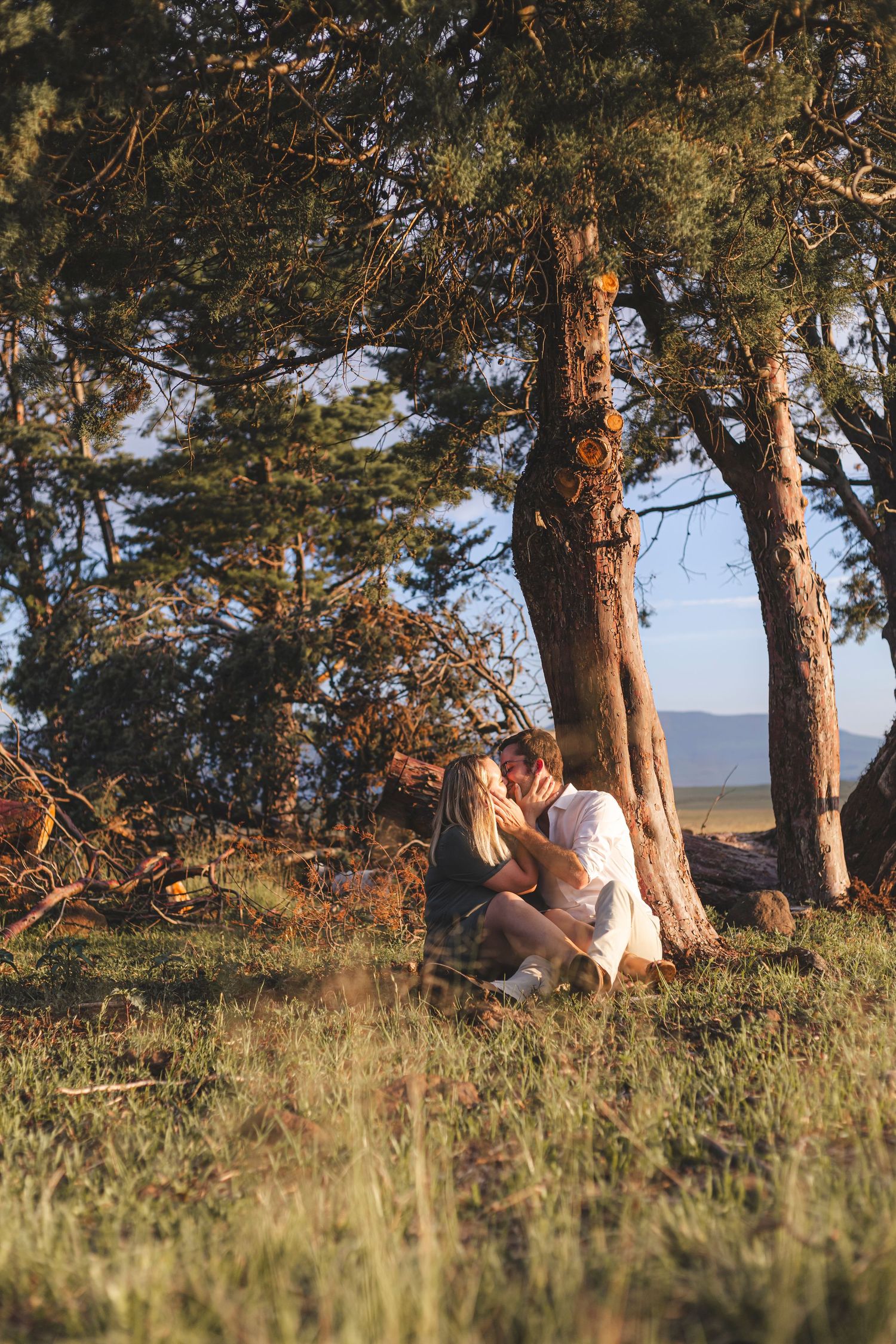 Couple sitting under tall pine trees during sunset.