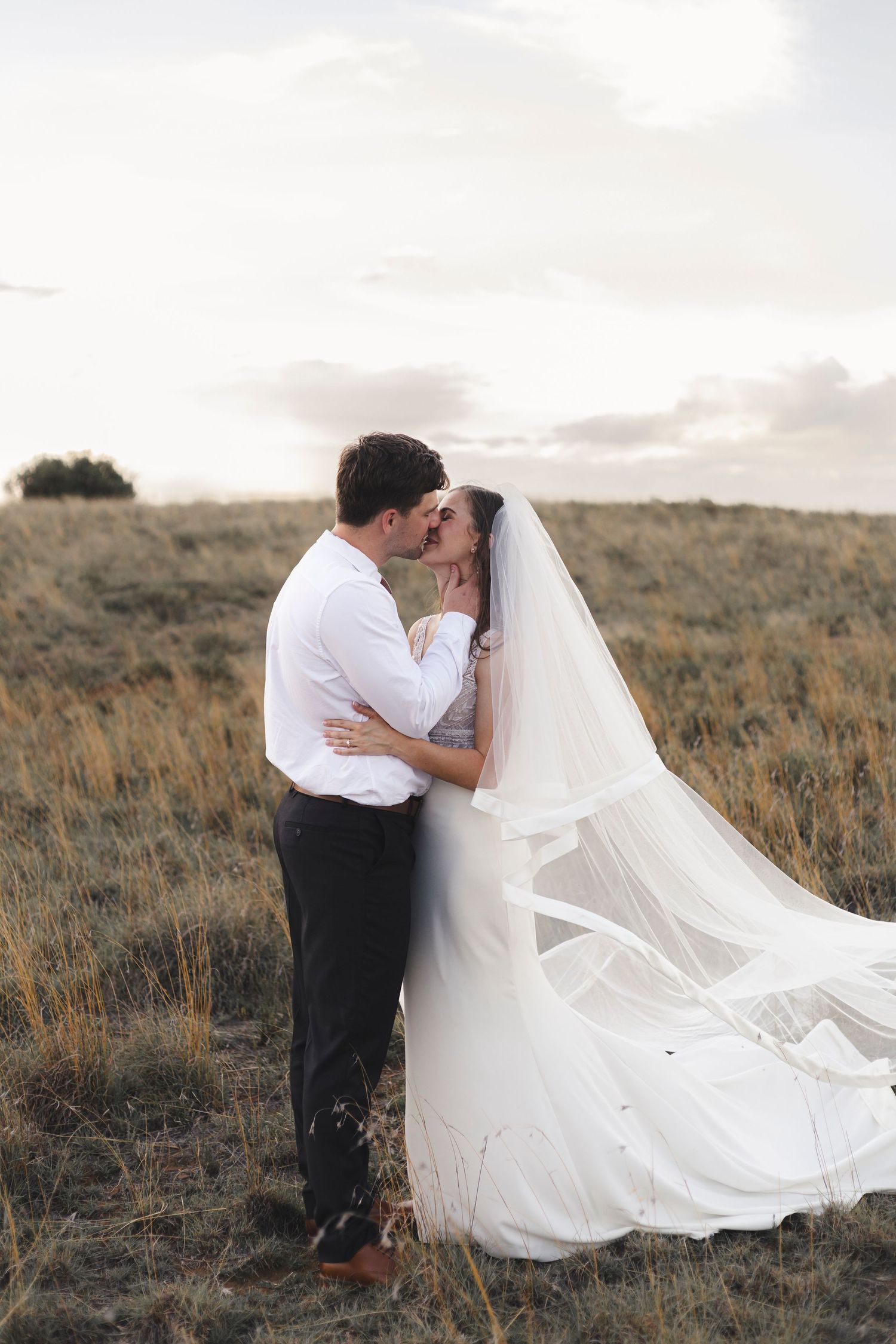 A romantic wedding photo of a couple embracing in a golden field at sunset with a flowing white veil.