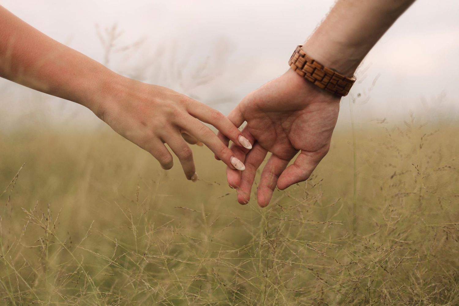 Two hands reaching to hold each other among tall grass in golden sunlight.