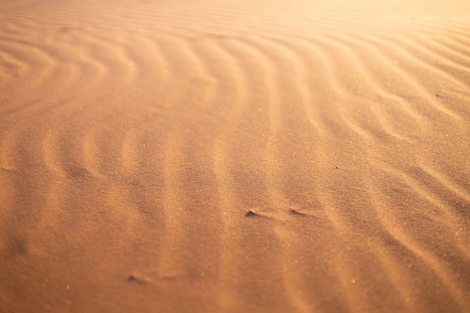 Close-up of rippled sand dunes with golden light creating intricate patterns and shadows.