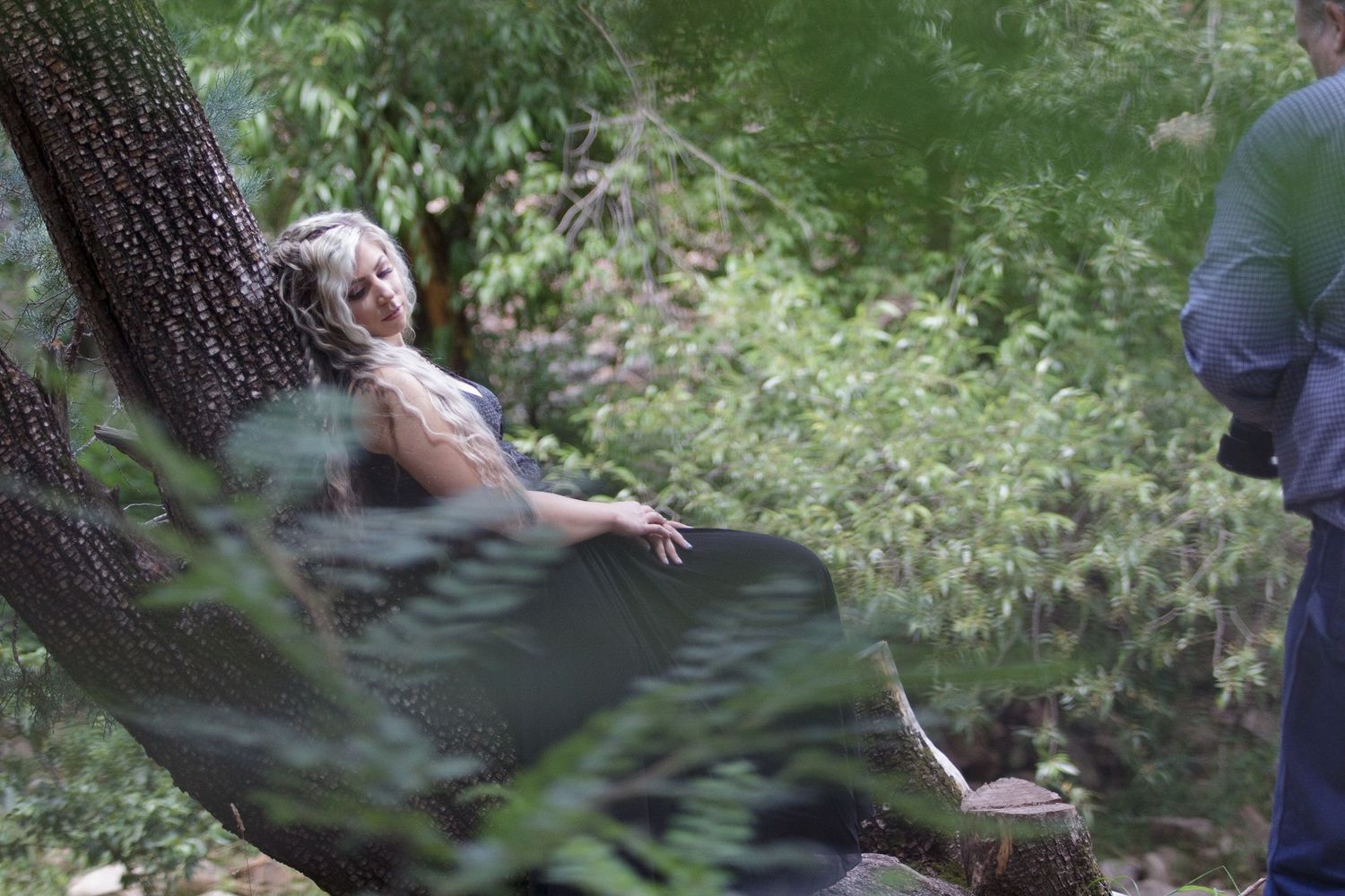 Green forest scene with figures partially visible through foliage.