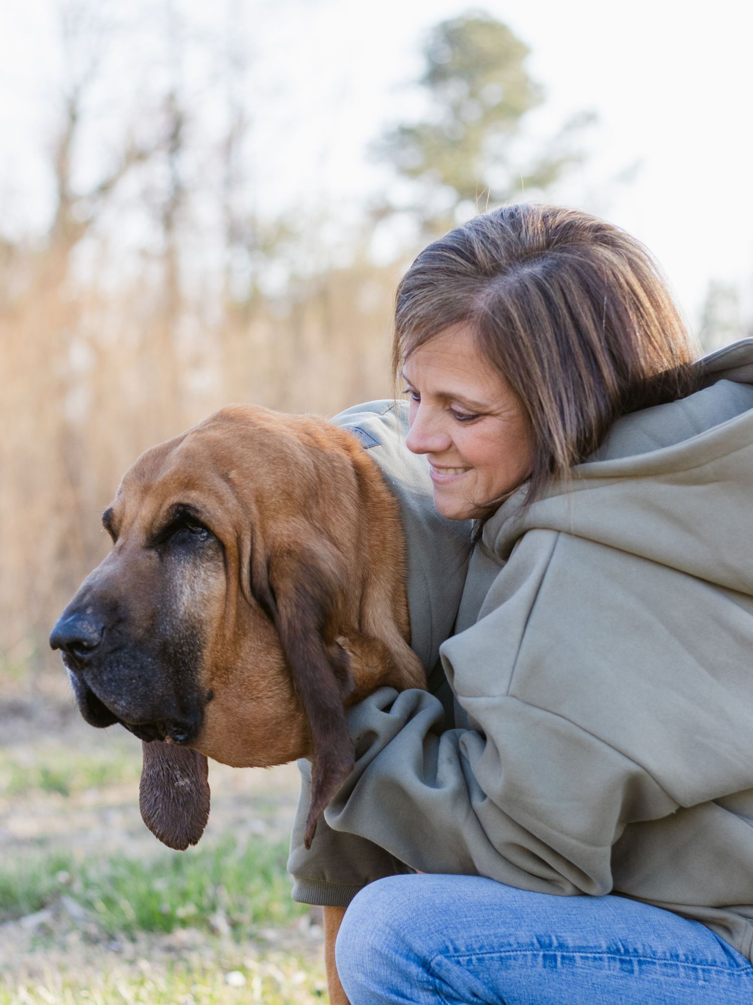 A bloodhound dog with long droopy ears gets affection from someone wearing a gray hoodie and jeans outdoors.