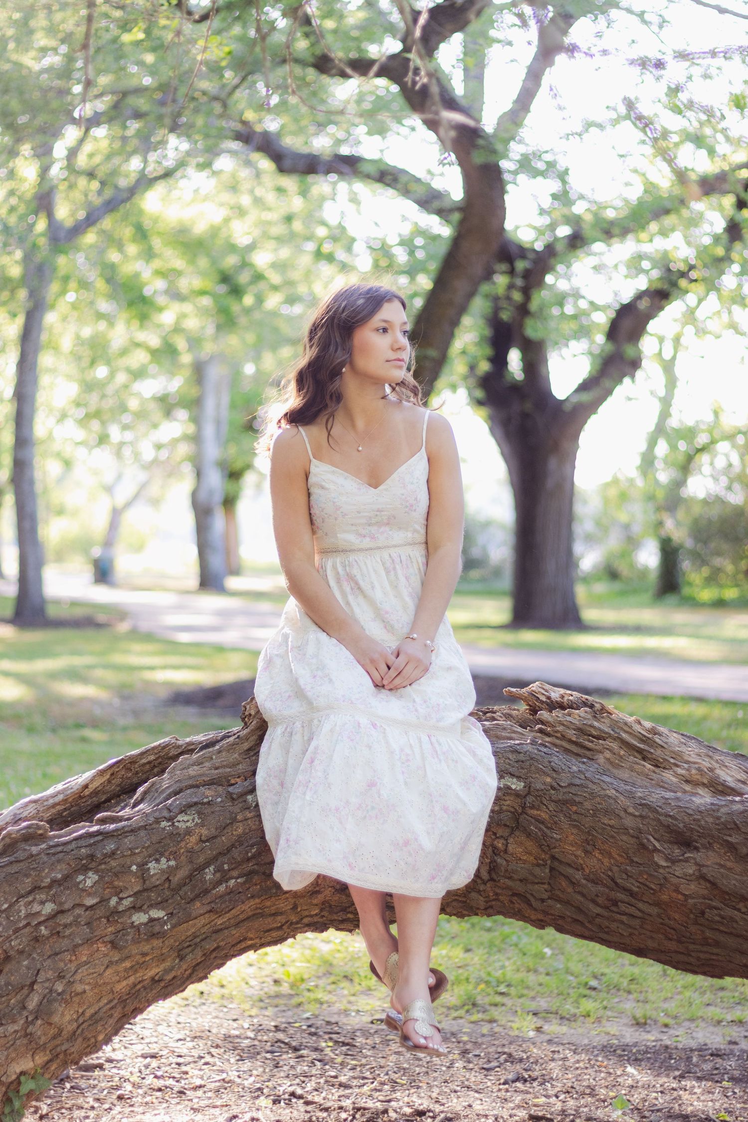 A figure in a white dress sits gracefully on a large fallen tree branch in a sunlit park setting.