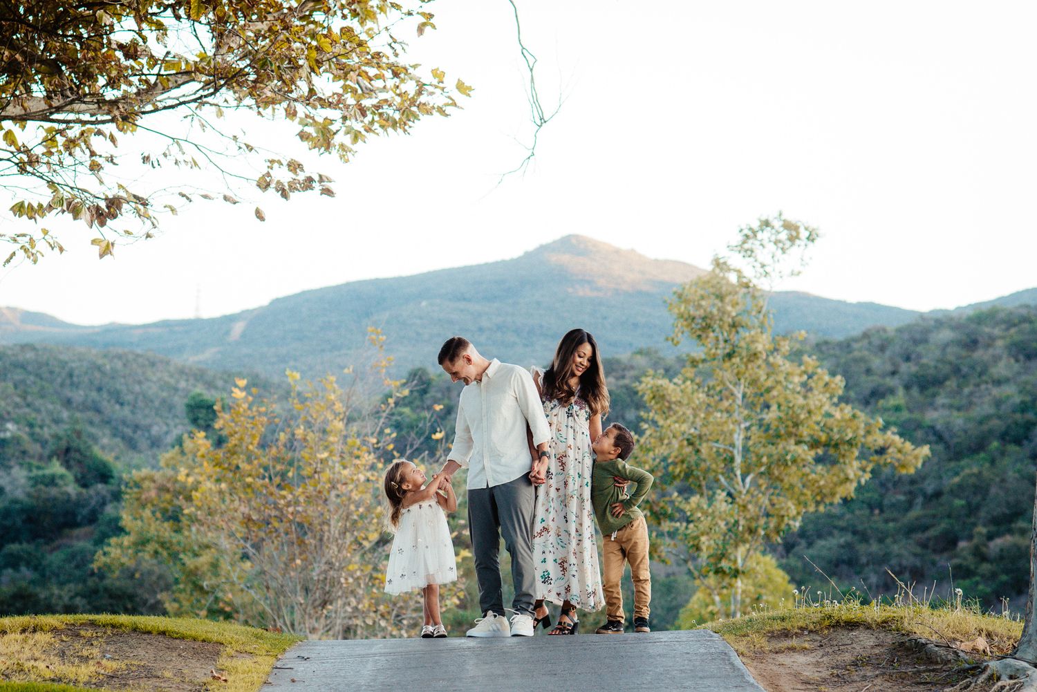 Family of four posing on a scenic mountain path surrounded by lush trees and rolling hills in warm natural light.