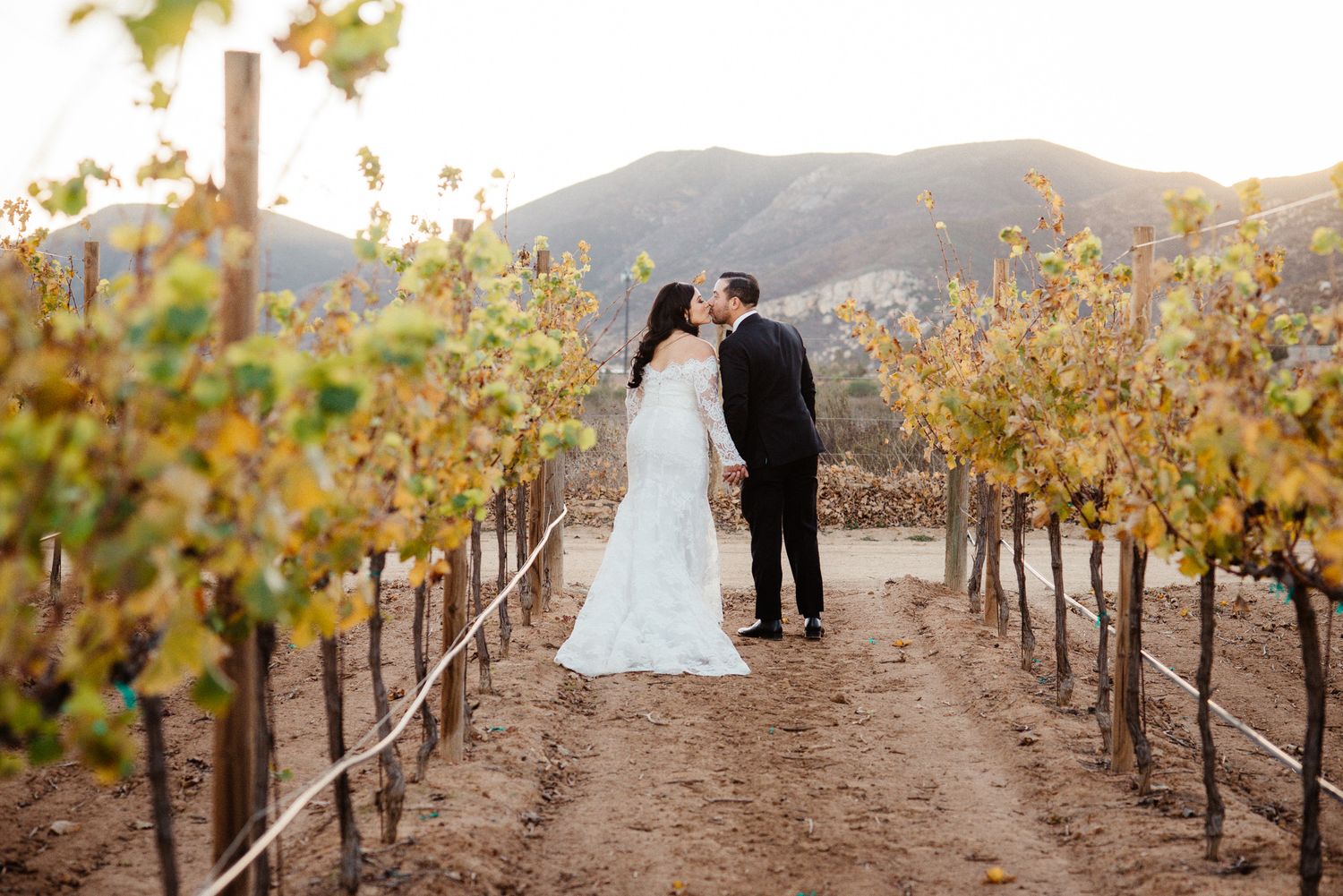 Bride and groom kissing between vineyard rows with mountain backdrop at a romantic outdoor winery wedding.