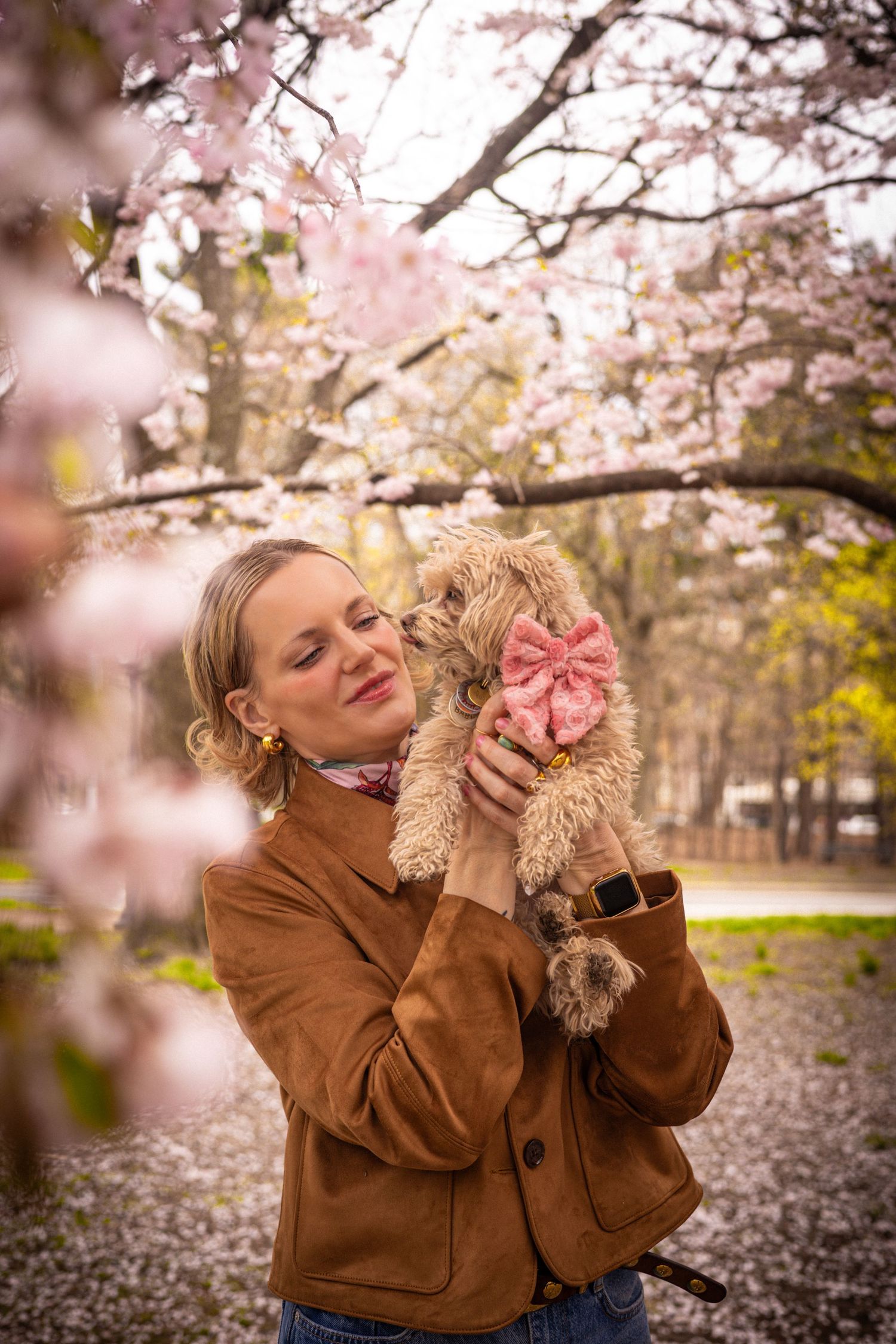 Dog photography in Brooklyn