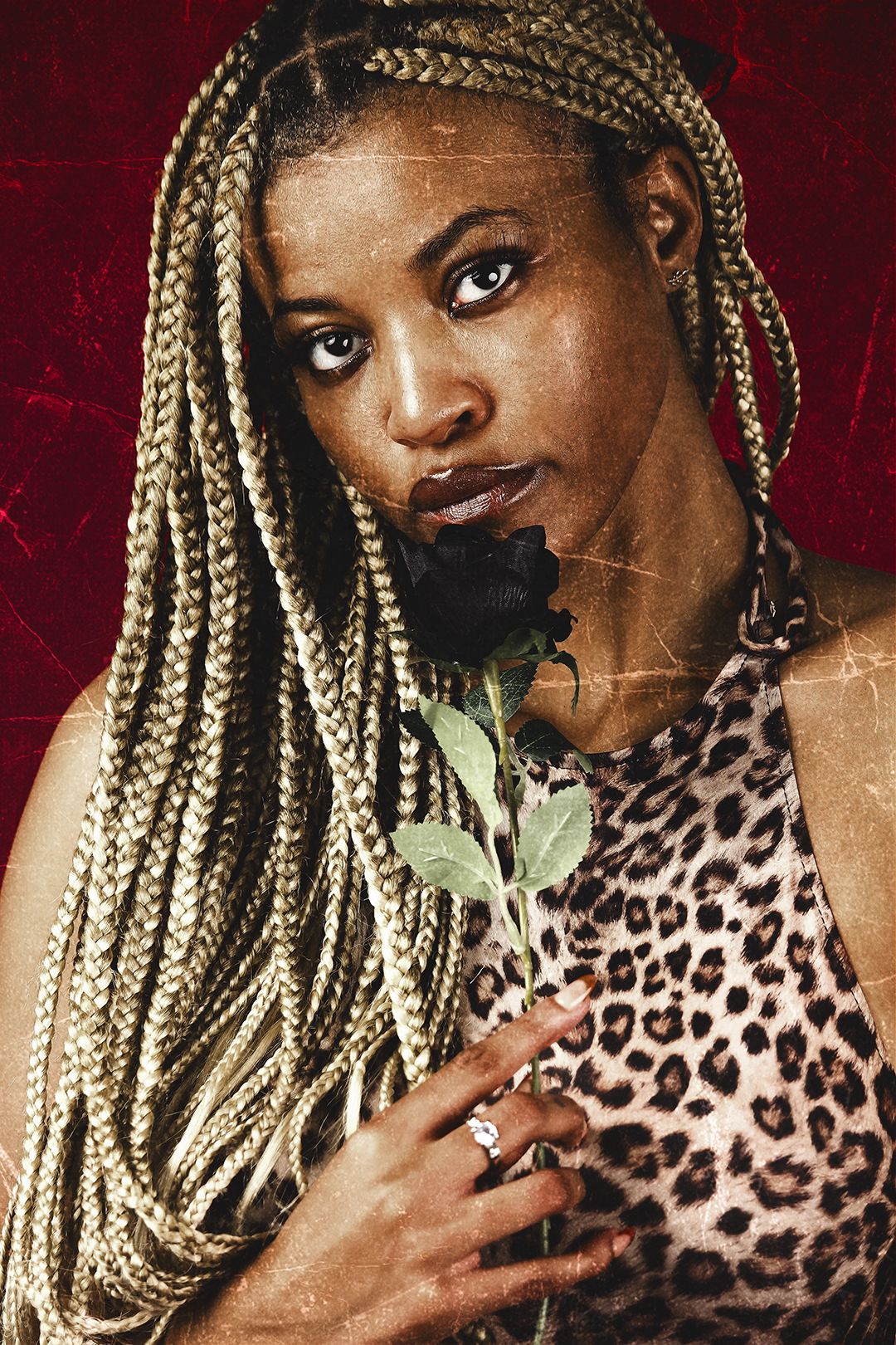 Close-up portrait of Black woman with long blonde braids holding a black rose in leopard print top.