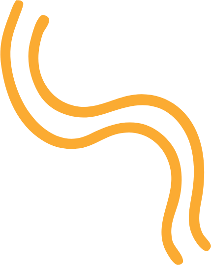 Two golden yellow wavy lines forming an S-curve design on a white background.