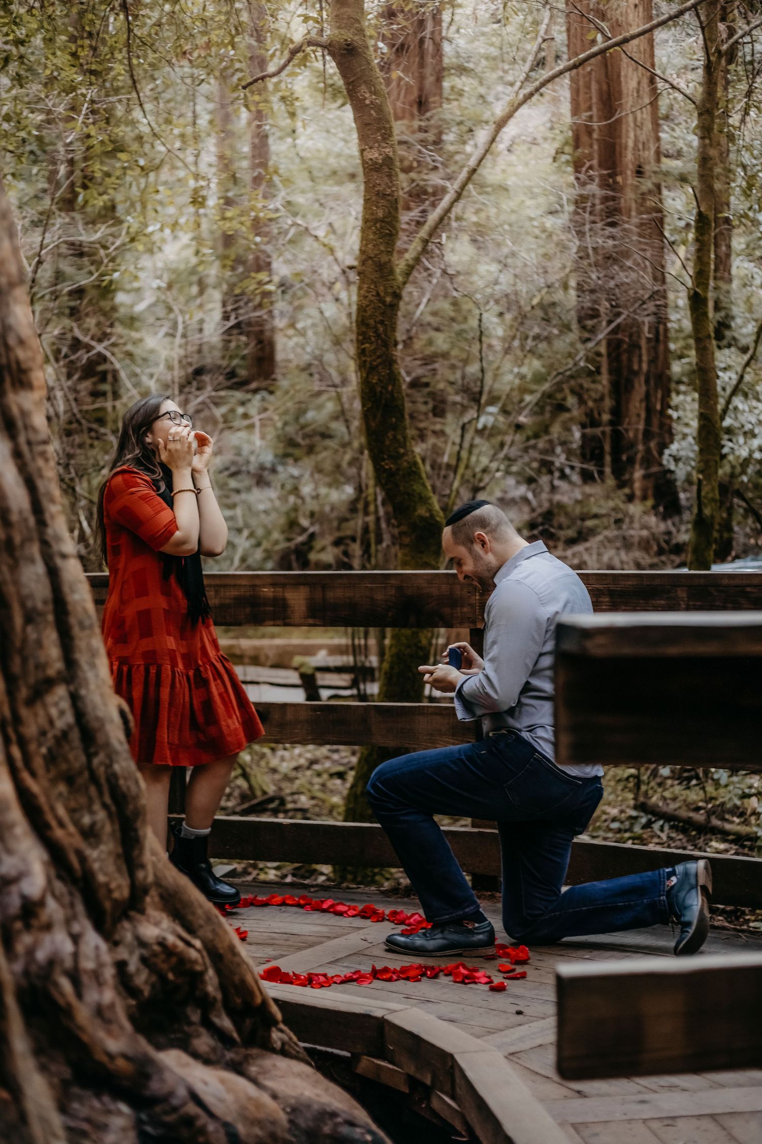 Surprise proposal photography session capturing a marriage proposal beneath towering redwood trees in Northern California