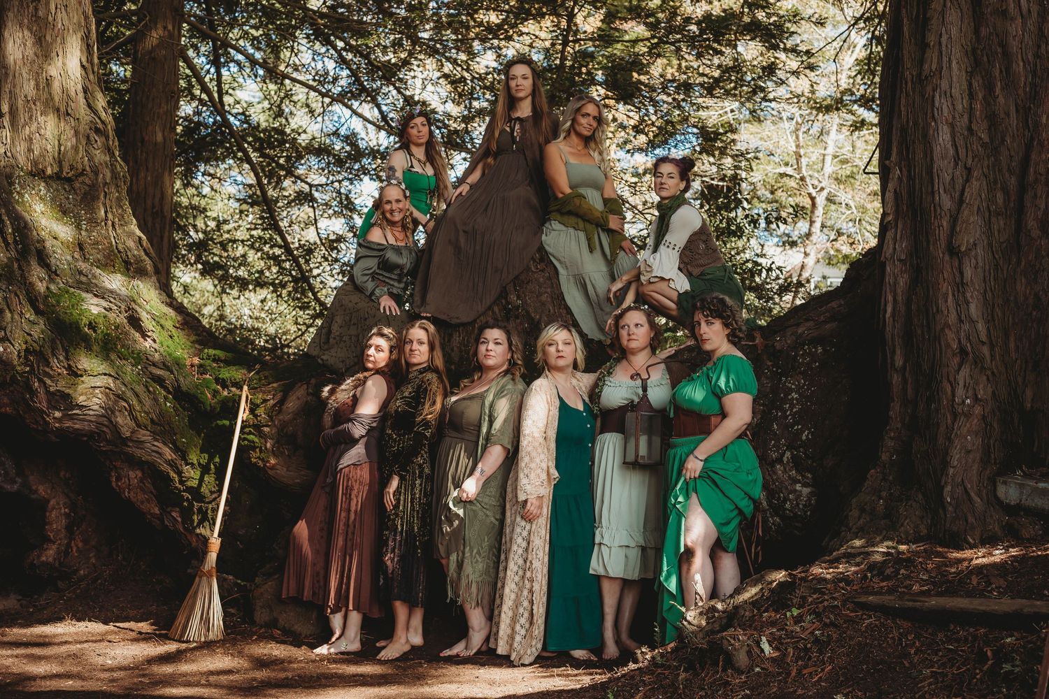 Fantasy group portrait beneath towering Sonoma County redwoods, inspired by folklore, nature and storytelling.