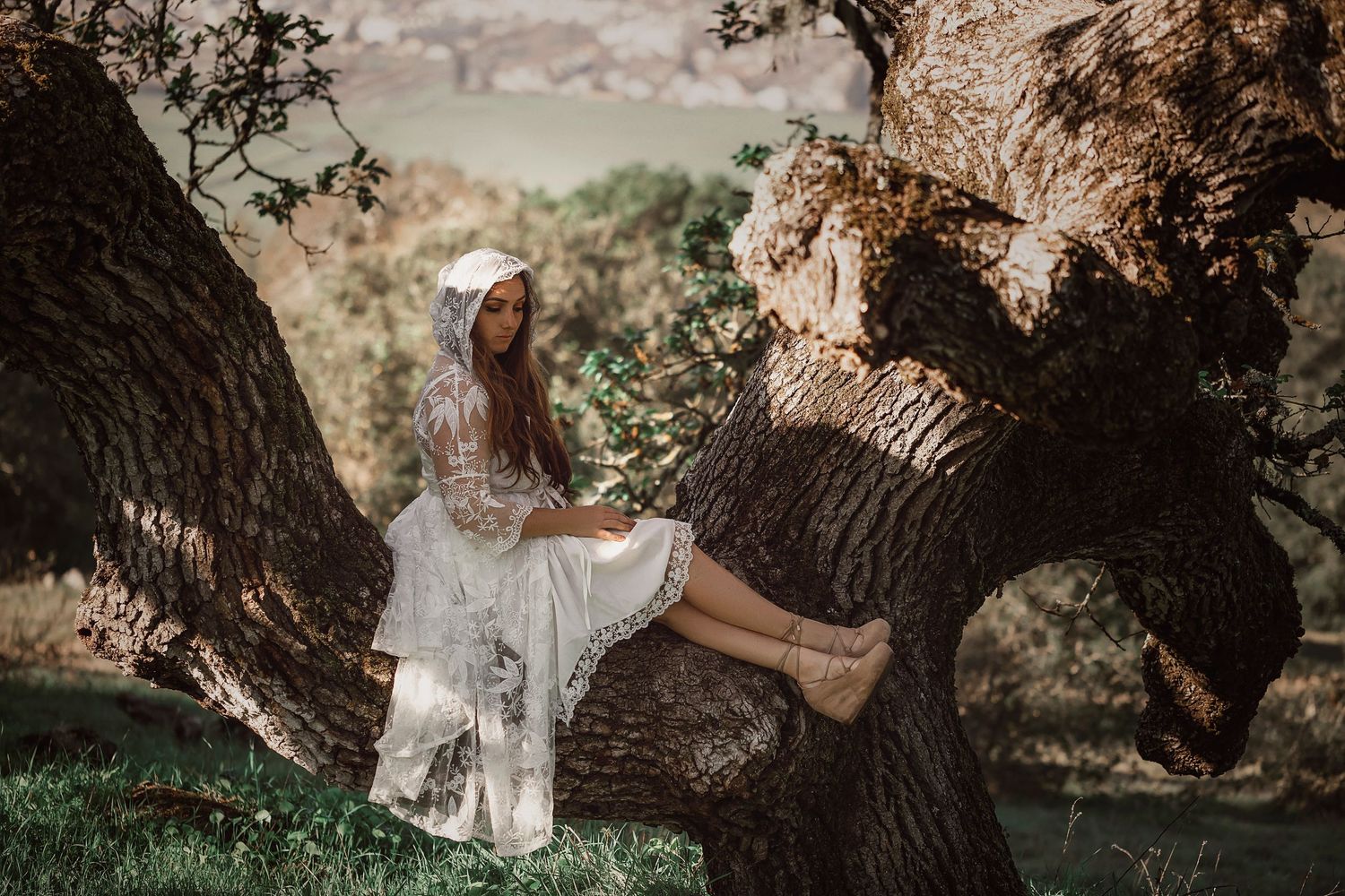 Storybook inspired portrait of a woman in a white dress posed with the branches of a historic oak tree in Sonoma County