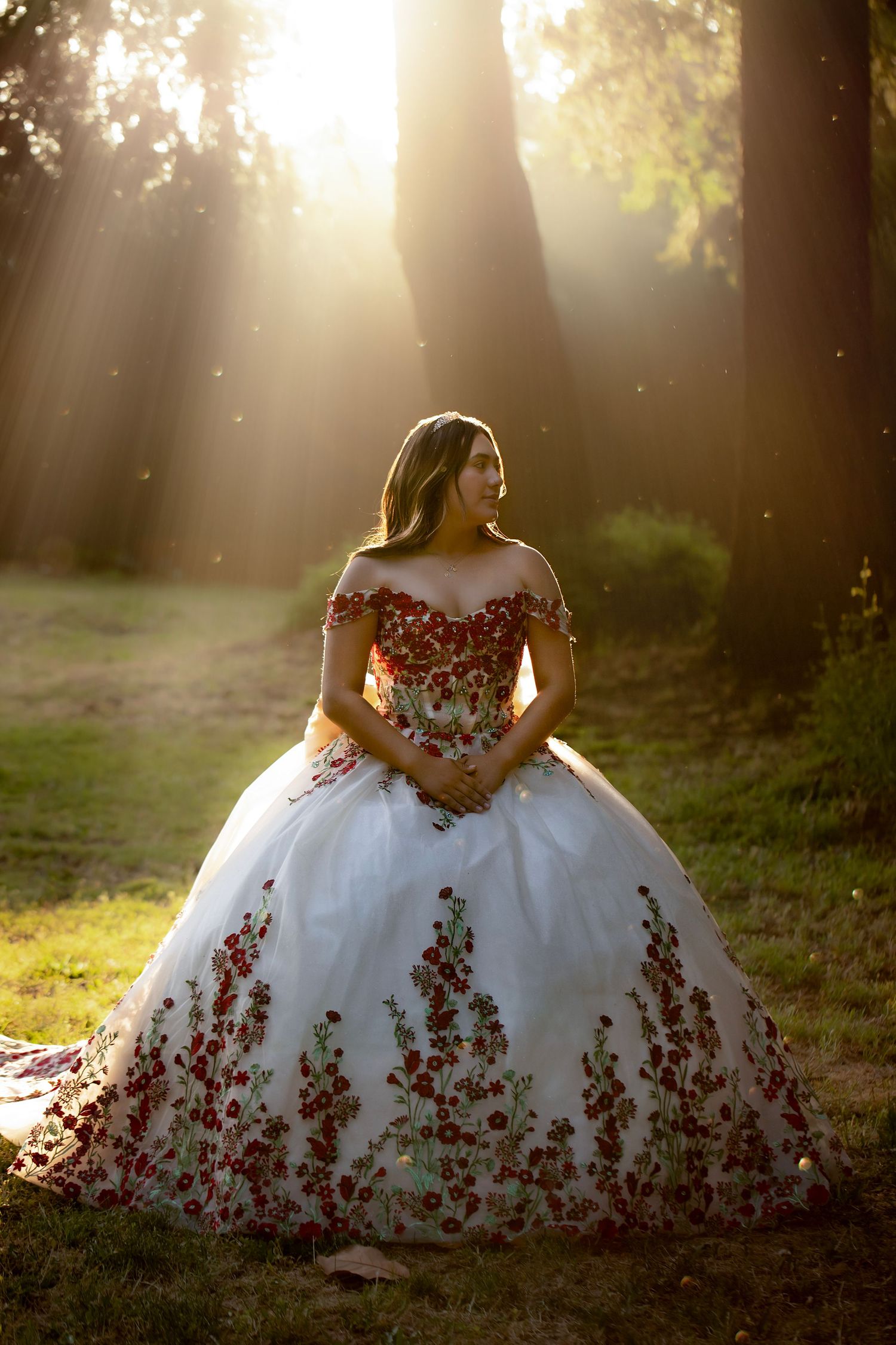 Find art quinceañera portrait of a young woman in an embroidered ball gown illuminated by dramatic golden sun rays