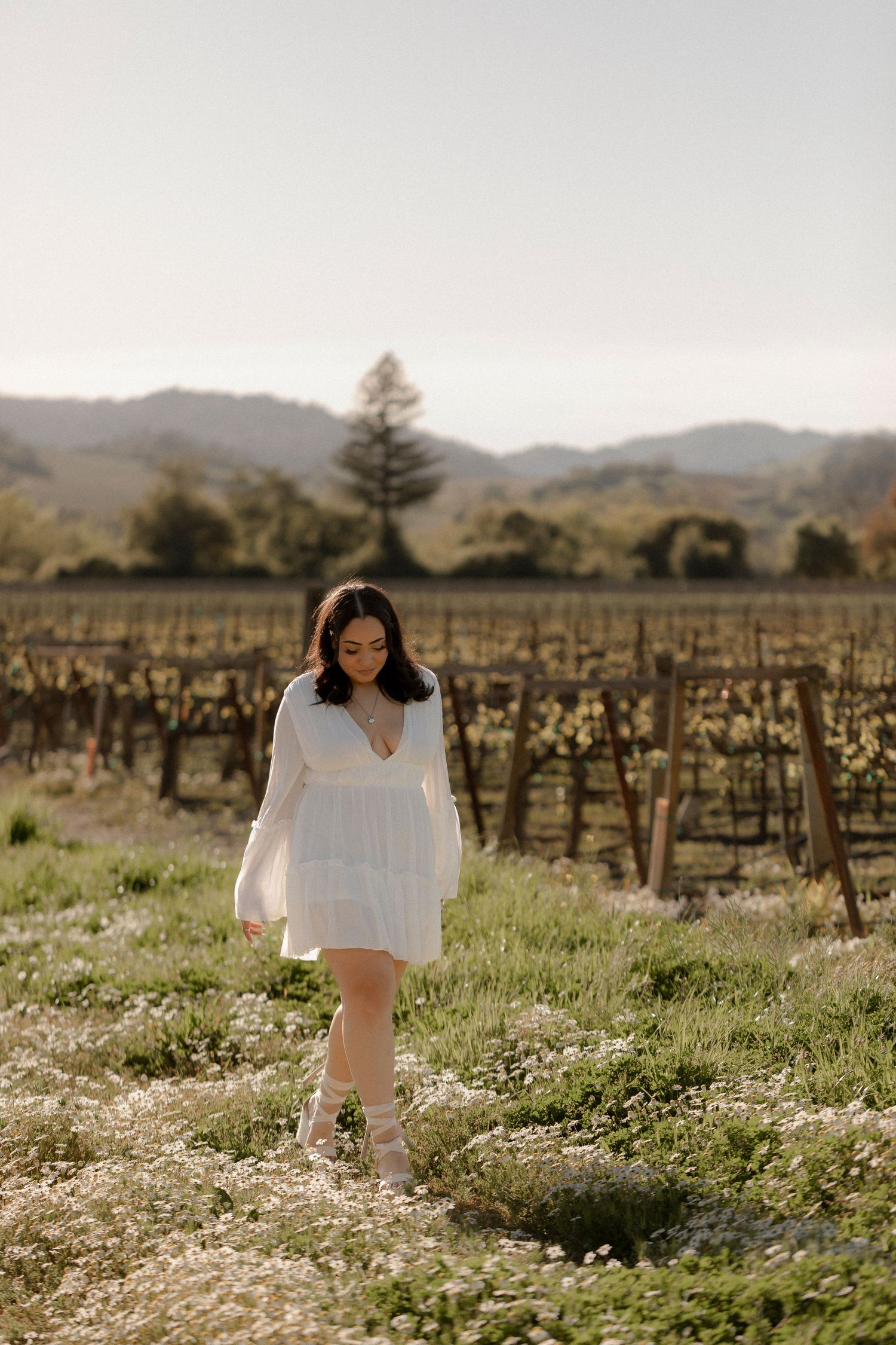 Senior portrait of a young woman walking through a vineyard in Sonoma county