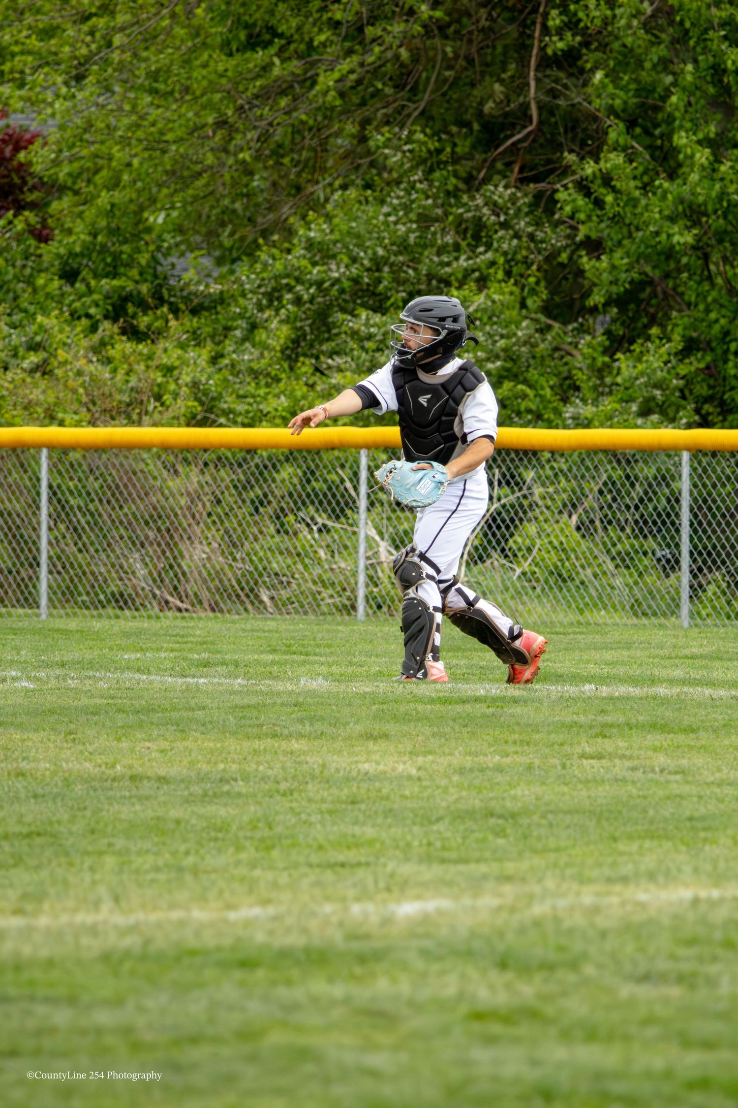 Baseball catcher in full gear prepares to throw ball on a green field during a game.