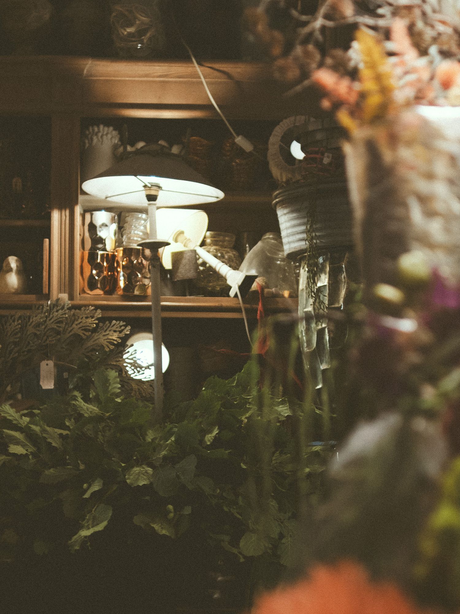 Dimly lit vintage shelf with lamp, glassware, and lush green plants in a rustic interior.