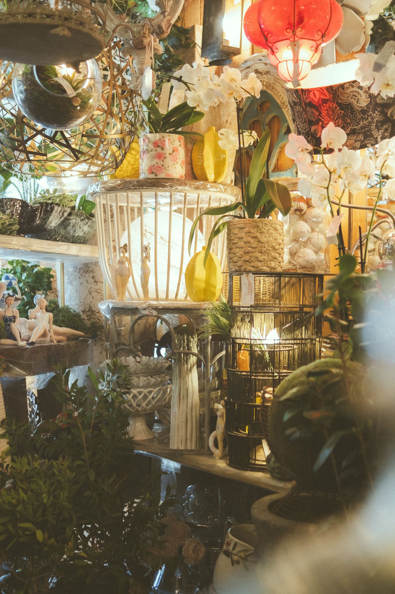 Eclectic flower shop display with orchids, birdcages, lanterns, and lush greenery creating a whimsical decorative arrangement.